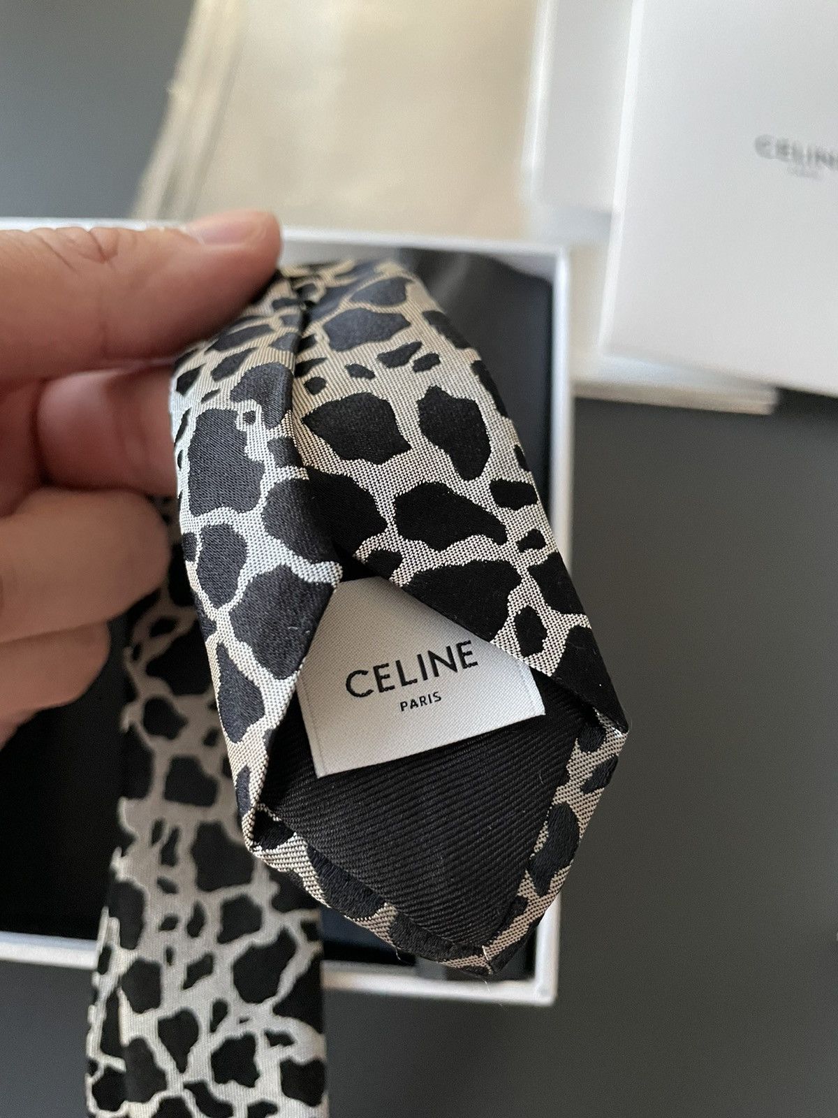 Celine × Hedi Slimane Rare Super Runway Brand New Silk Tie Limited Edition Size ONE SIZE - 4 Thumbnail