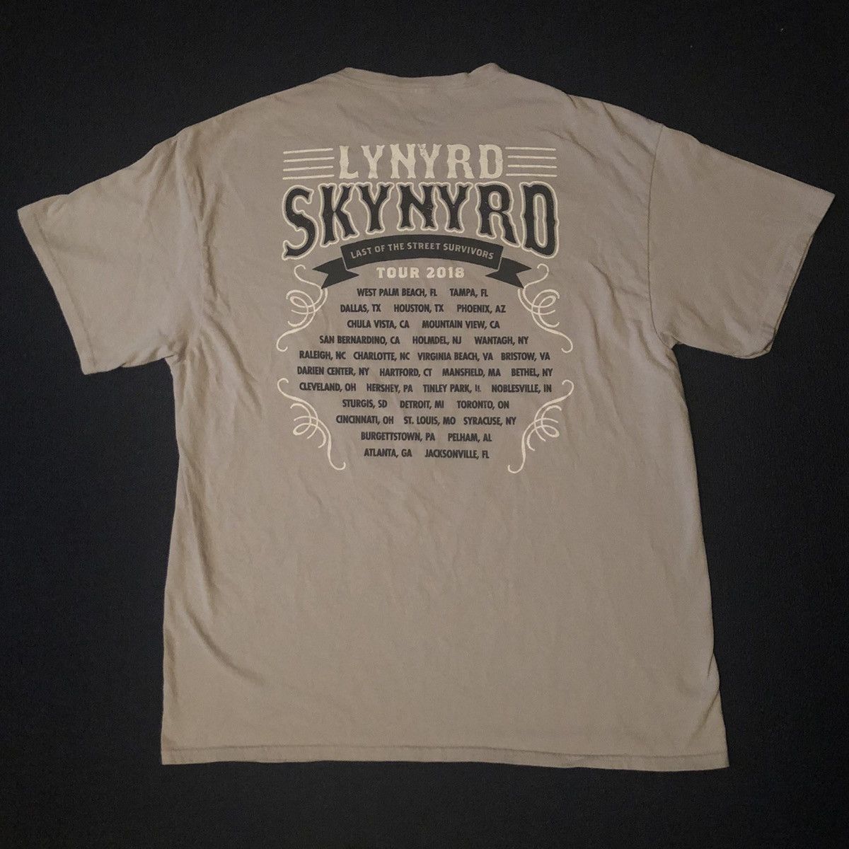Band Tees Vintage Lynyrd Skynyrd Free Bird Tour Graphic Tee Shirt 2018 Size US XL / EU 56 / 4 - 4 Thumbnail
