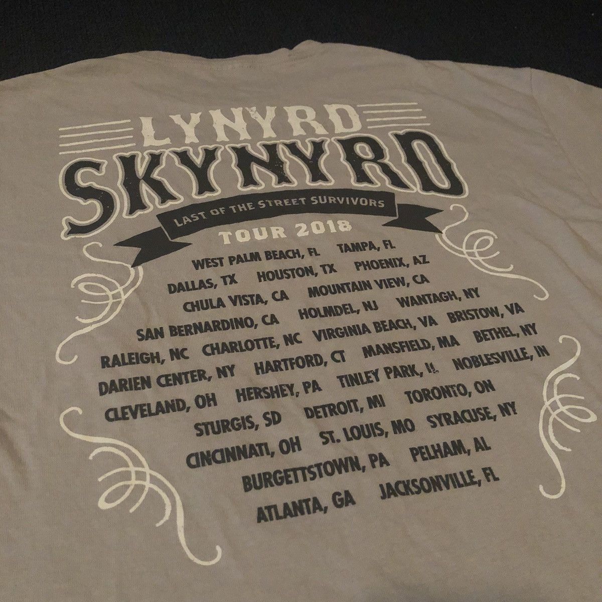 Band Tees Vintage Lynyrd Skynyrd Free Bird Tour Graphic Tee Shirt 2018 Size US XL / EU 56 / 4 - 7 Thumbnail