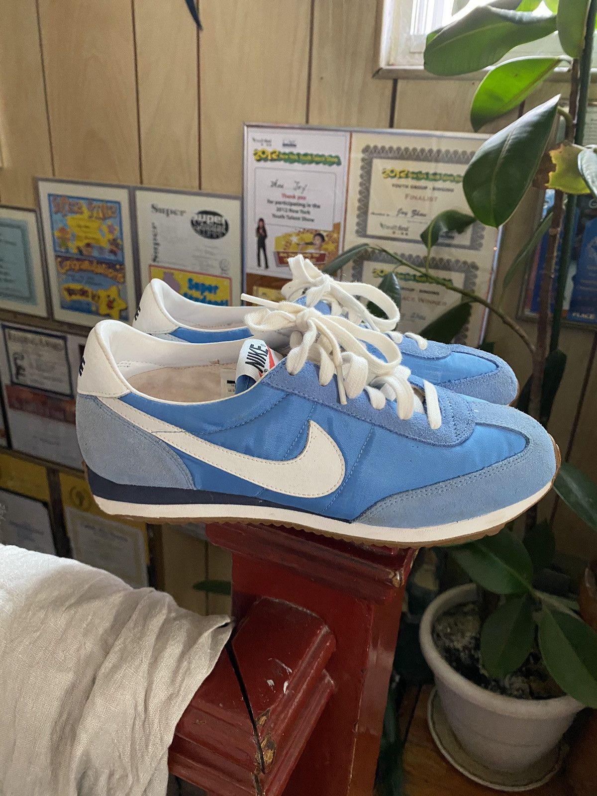 Vintage Blue ours White Nike