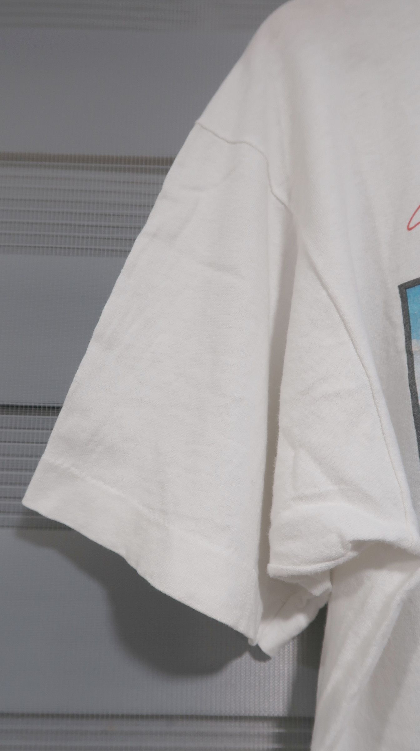 Fruit Of The Loom Vintage Robert Lyn Nelson Maui Tee – Fruit of the Loom Size US L / EU 52-54 / 3 - 4 Thumbnail
