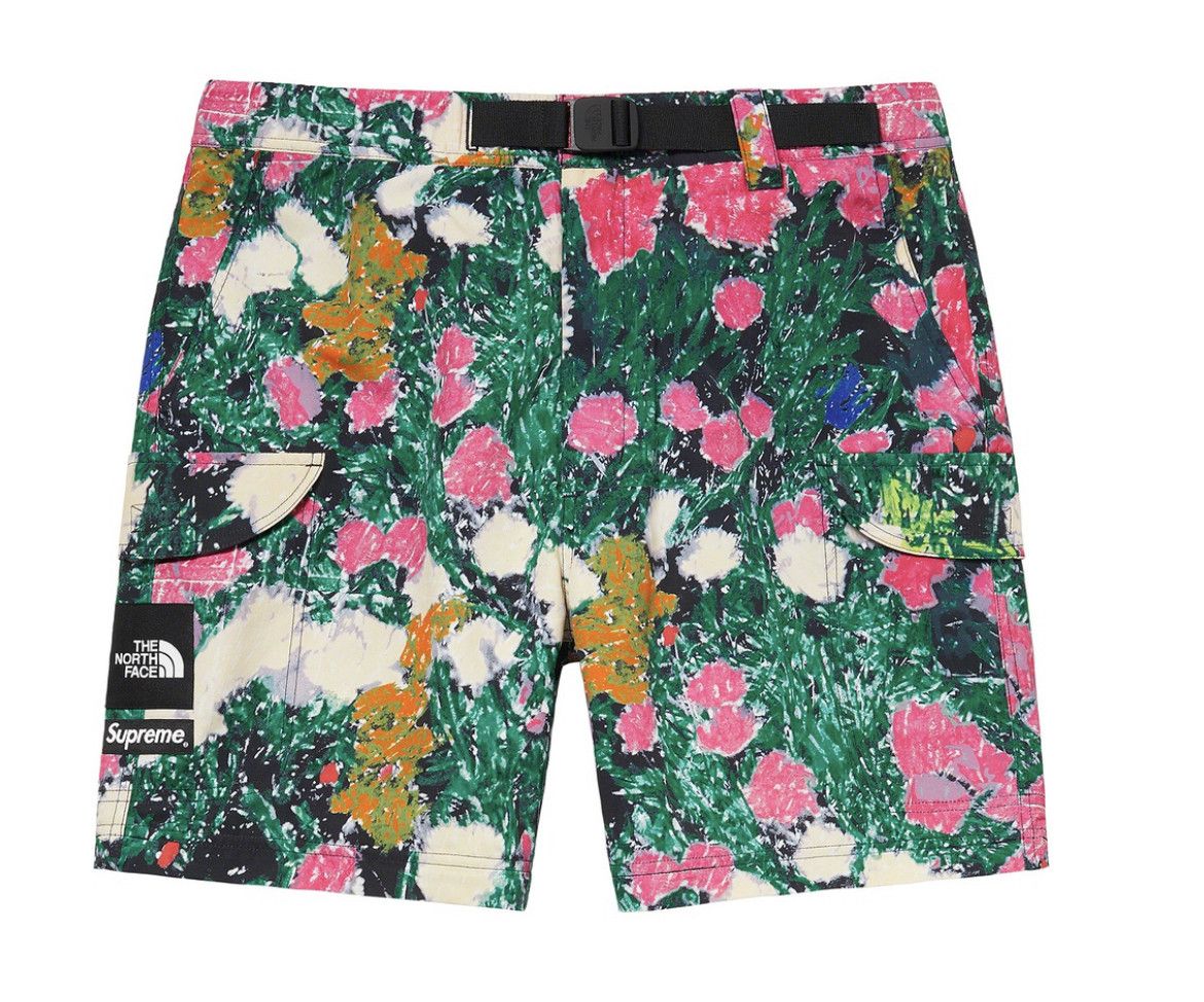 Supreme × The North Face Supreme The North Face Trekking Zip-Off Belted Pant Flowers Size US 34 / EU 50 - 3 Thumbnail