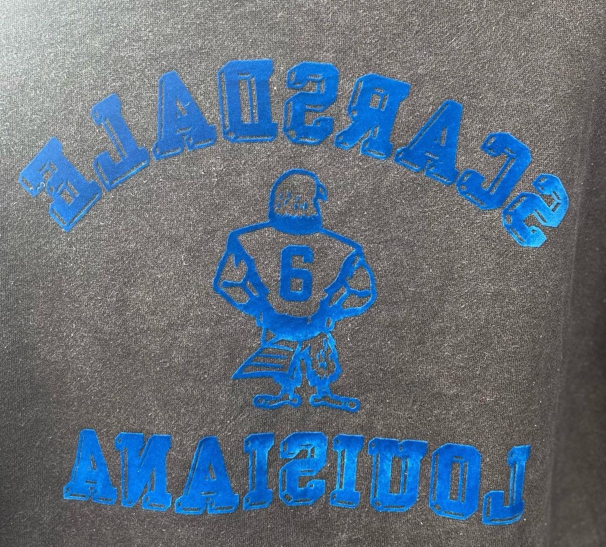 Champion Champion Scarsdale Louisiana Crewneck Size US L / EU 52-54 / 3 - 7 Thumbnail