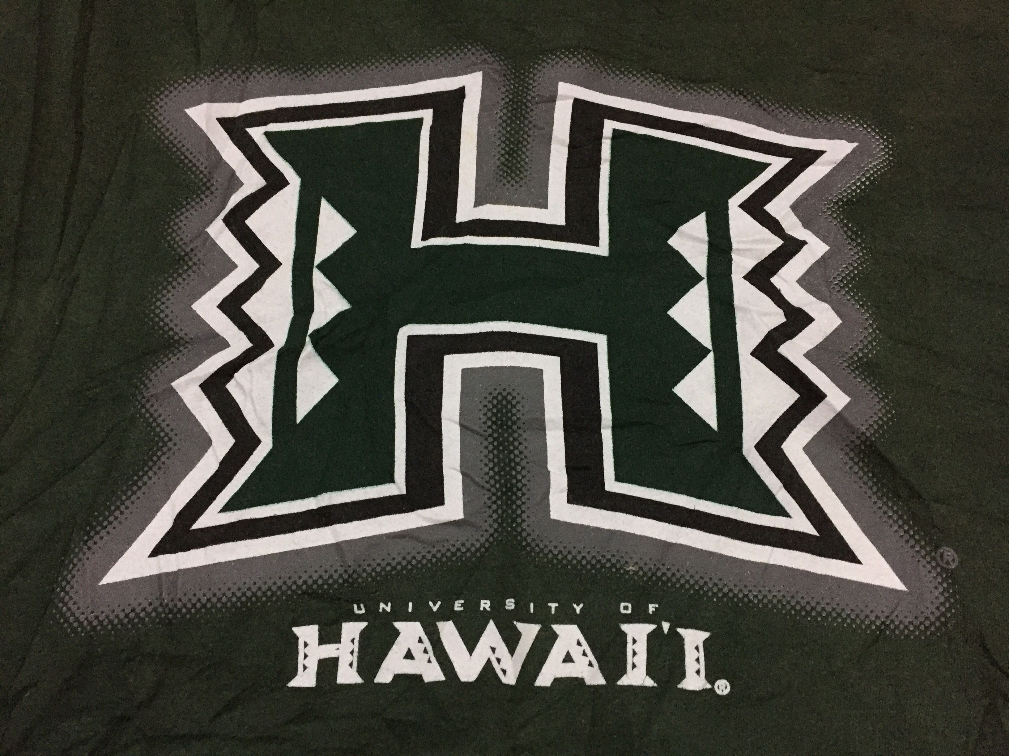 Hanes University Of Hawaii Hoodies Size M Size US M / EU 48-50 / 2 - 3 Thumbnail