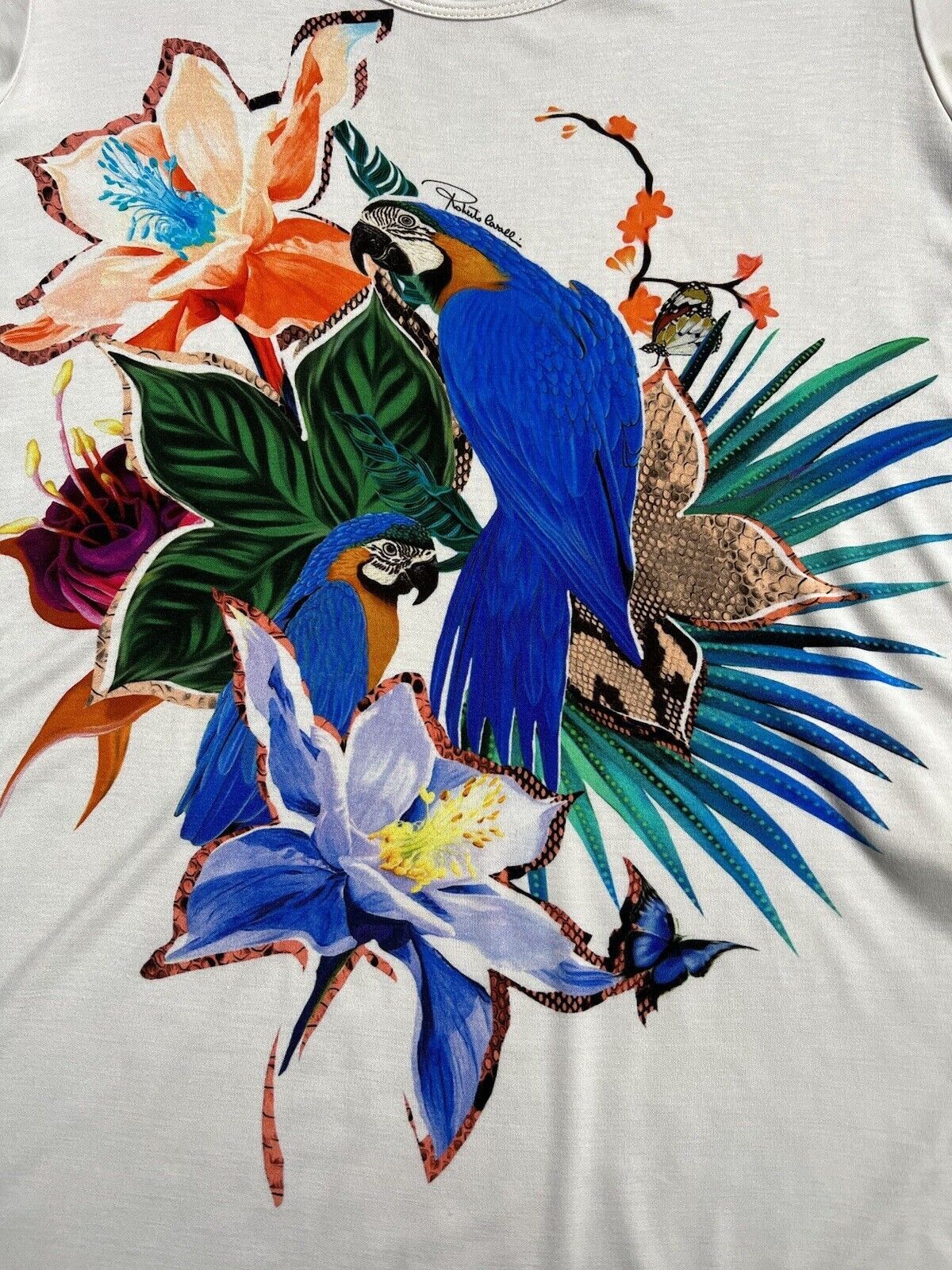 Roberto Cavalli Roberto Cavalli Viscose T-shirt Size 40 Size L / US 10 / IT 46 - 14 Thumbnail