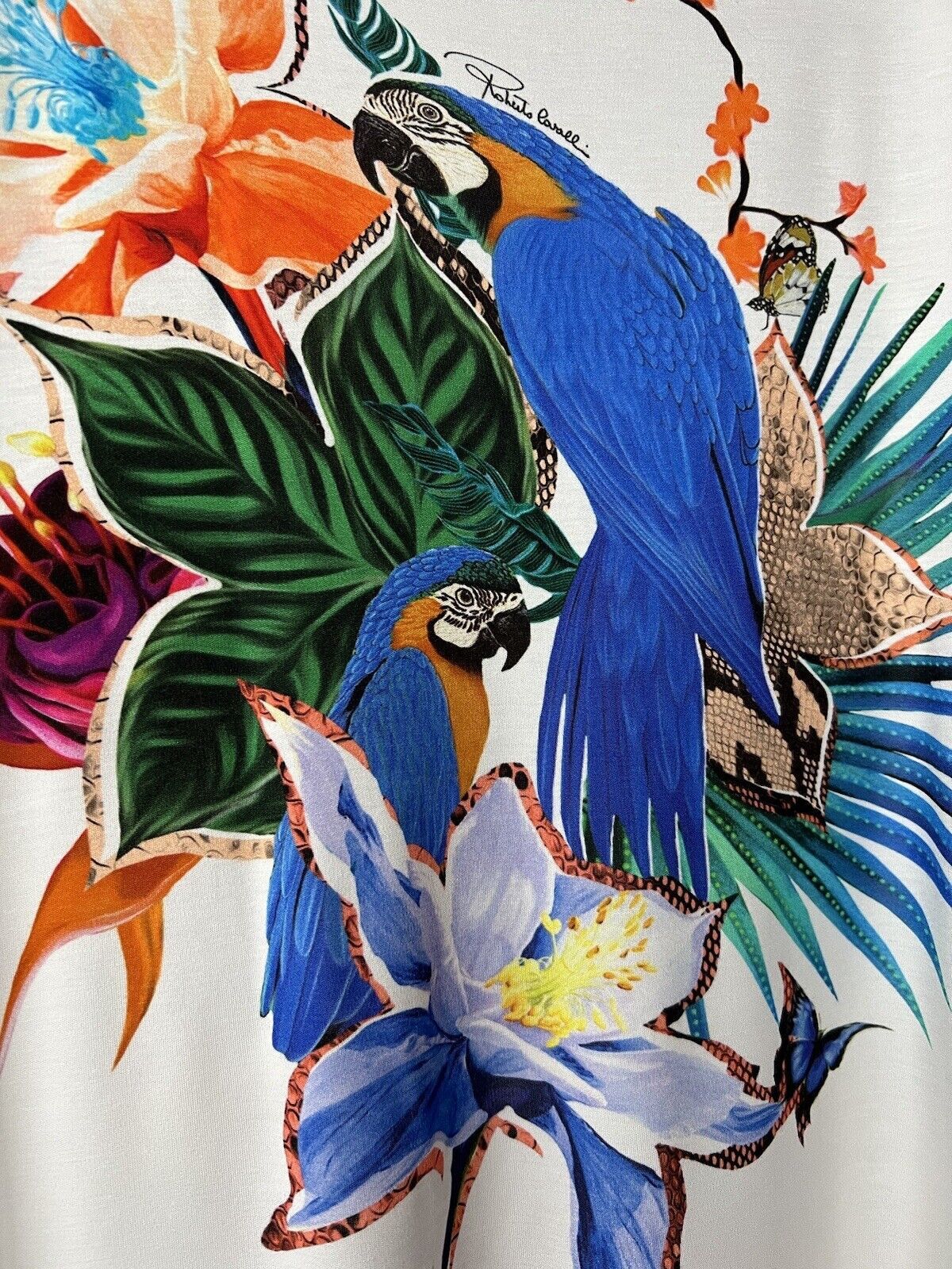 Roberto Cavalli Roberto Cavalli Viscose T-shirt Size 40 Size L / US 10 / IT 46 - 3 Thumbnail