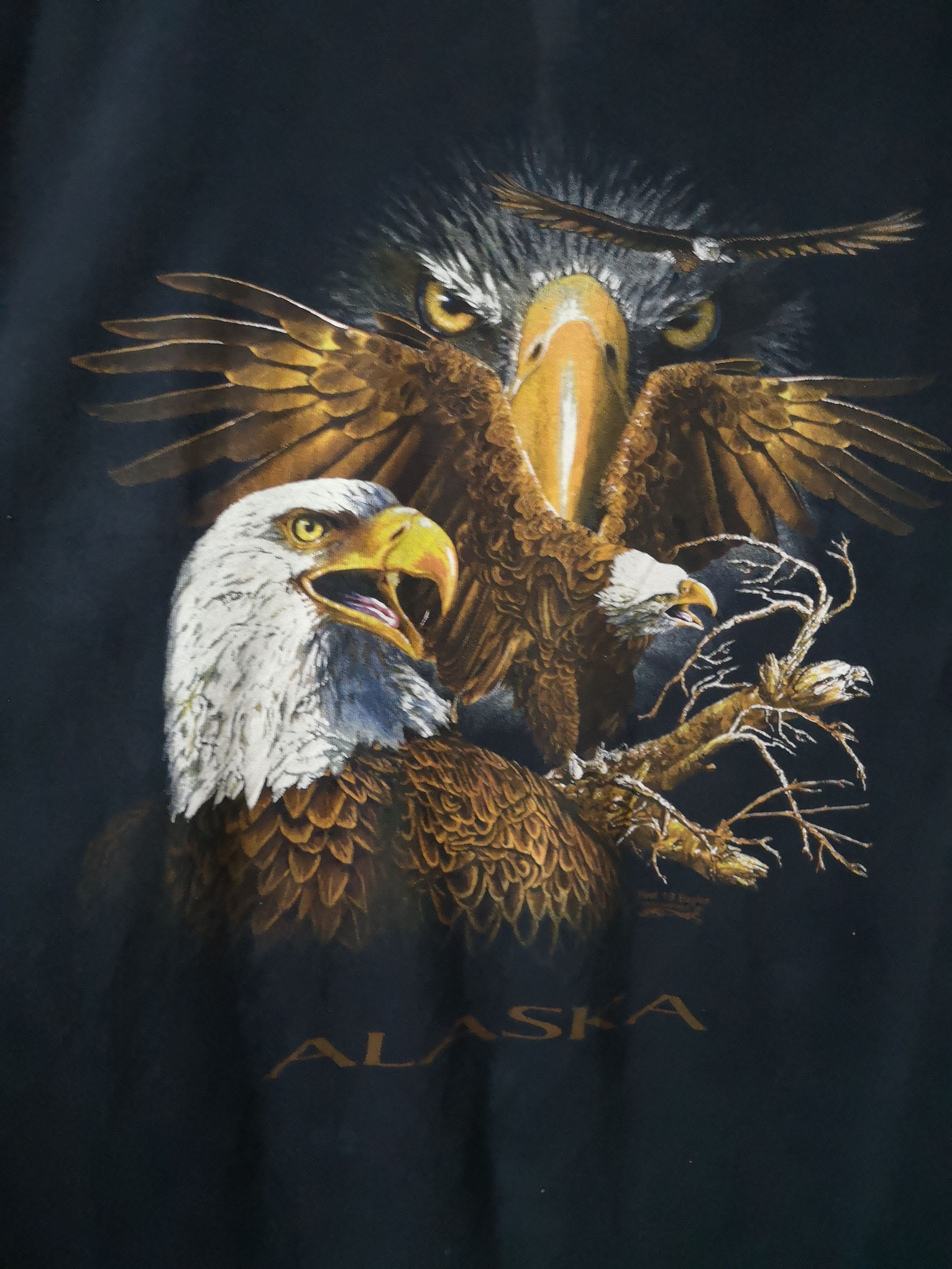 Vintage VINTAGE ALASKA NICE EAGLE PHOTO Size US XL / EU 56 / 4 - 2 Thumbnail
