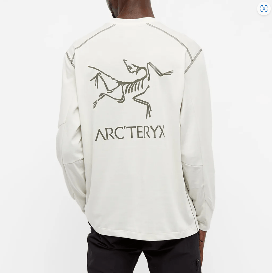 Arc'Teryx Arcteryx System A Copal Long Sleeve Bird Tee Chalk | Grailed