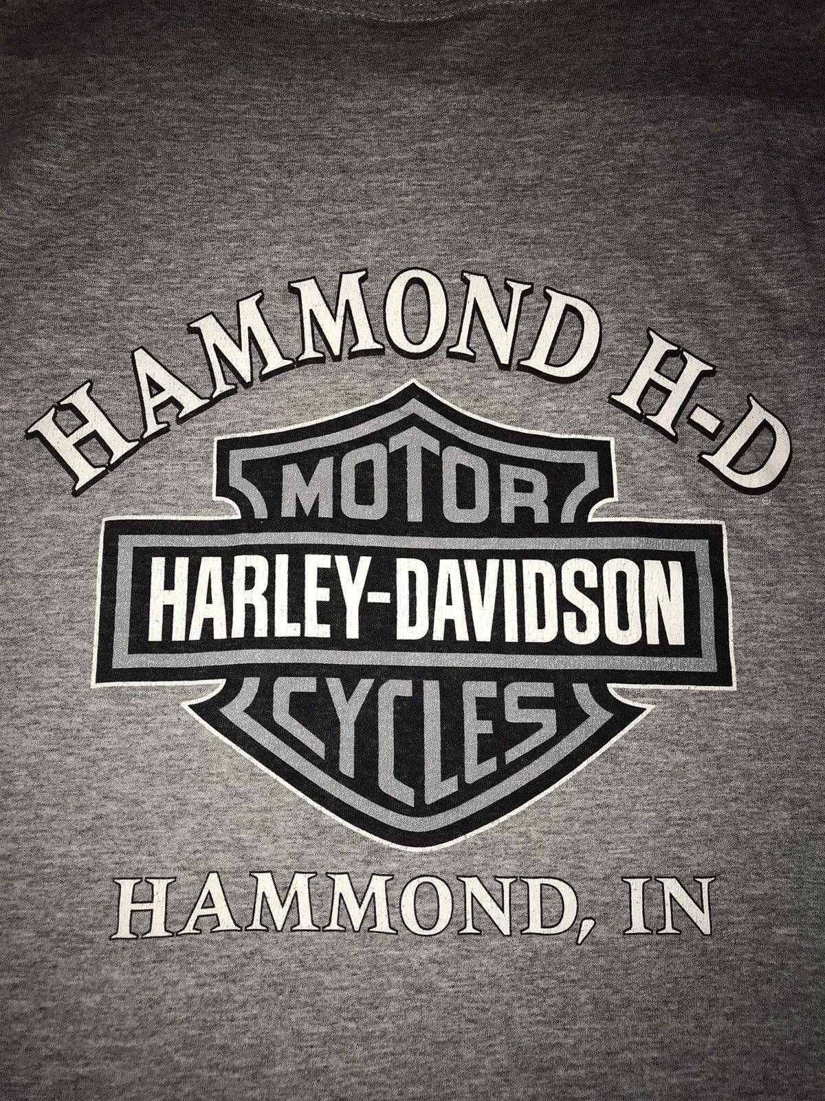 Harley Davidson Harley Davidson 2000 Hammond, IN Tank Top Size US XXL / EU 58 / 5 - 4 Thumbnail