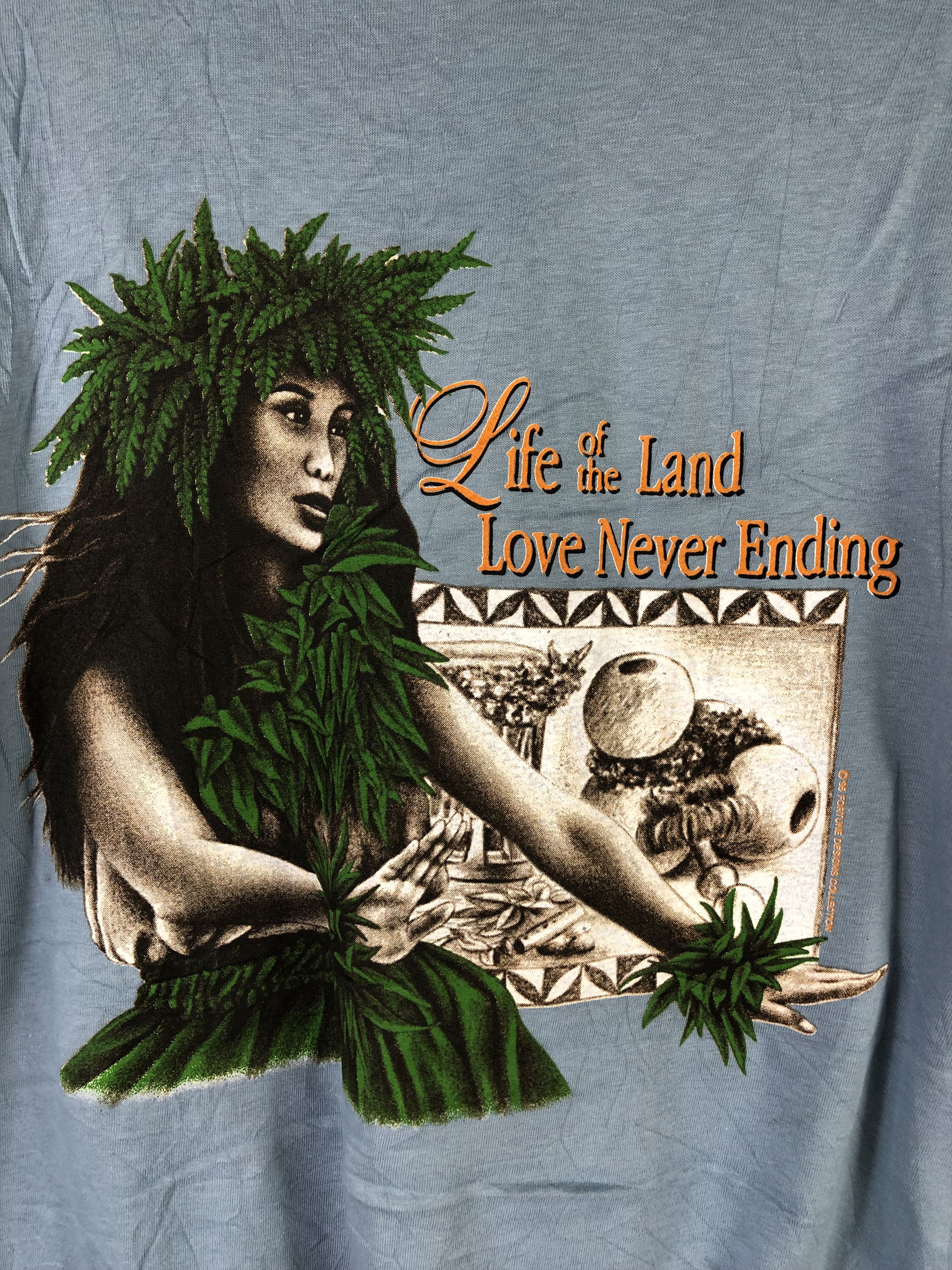 Hanes Vintage 90s Hawaii Legacy Tshirt Size US L / EU 52-54 / 3 - 4 Thumbnail