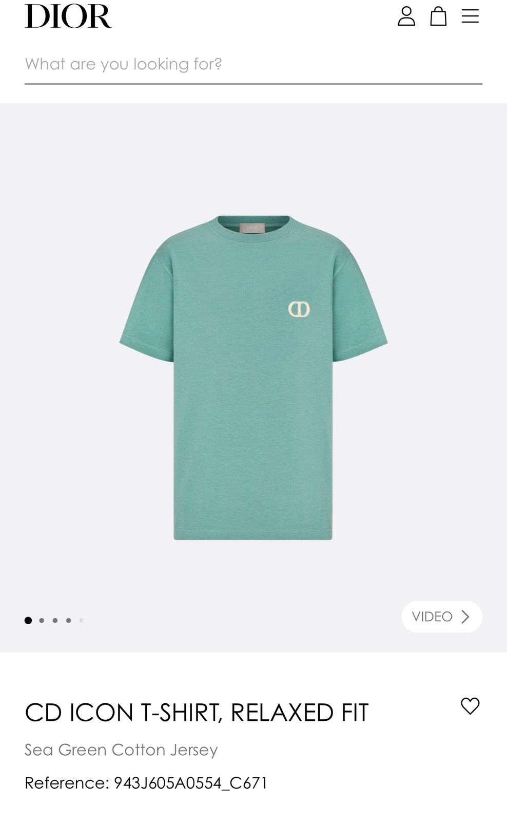 Christian Dior Icon T-Shirt