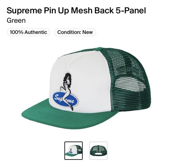 Supreme New Supreme Pin Up Mesh Back 5-Panel Green | Grailed