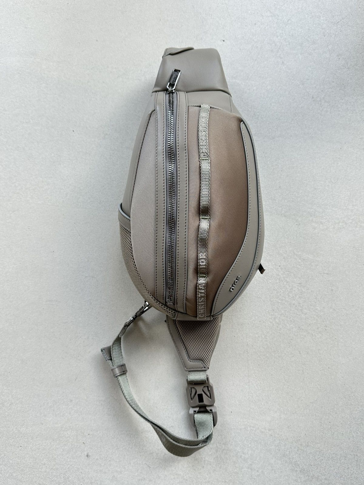 Christian Dior Scarab Calfskin Leather Crossbody Bag Grey