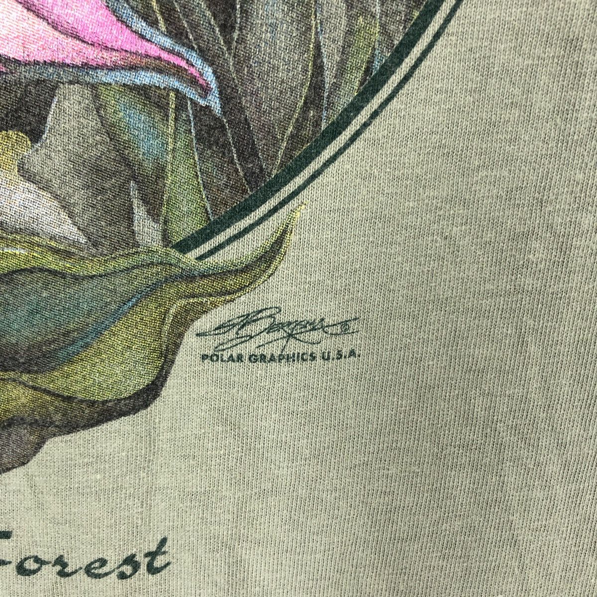 Hanes JEWEL OF THE FOREST by Polar Graphics T Shirt #1286-44 Size US XL / EU 56 / 4 - 3 Thumbnail