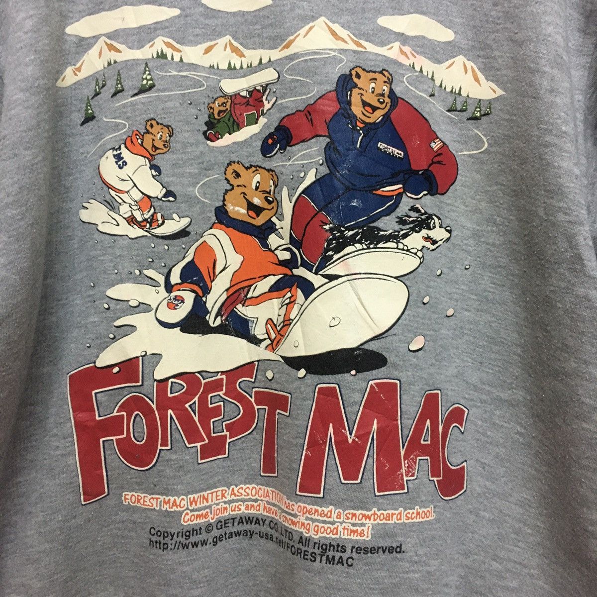 Vintage Vintage Snowboard Bear Size US M / EU 48-50 / 2 - 3 Thumbnail
