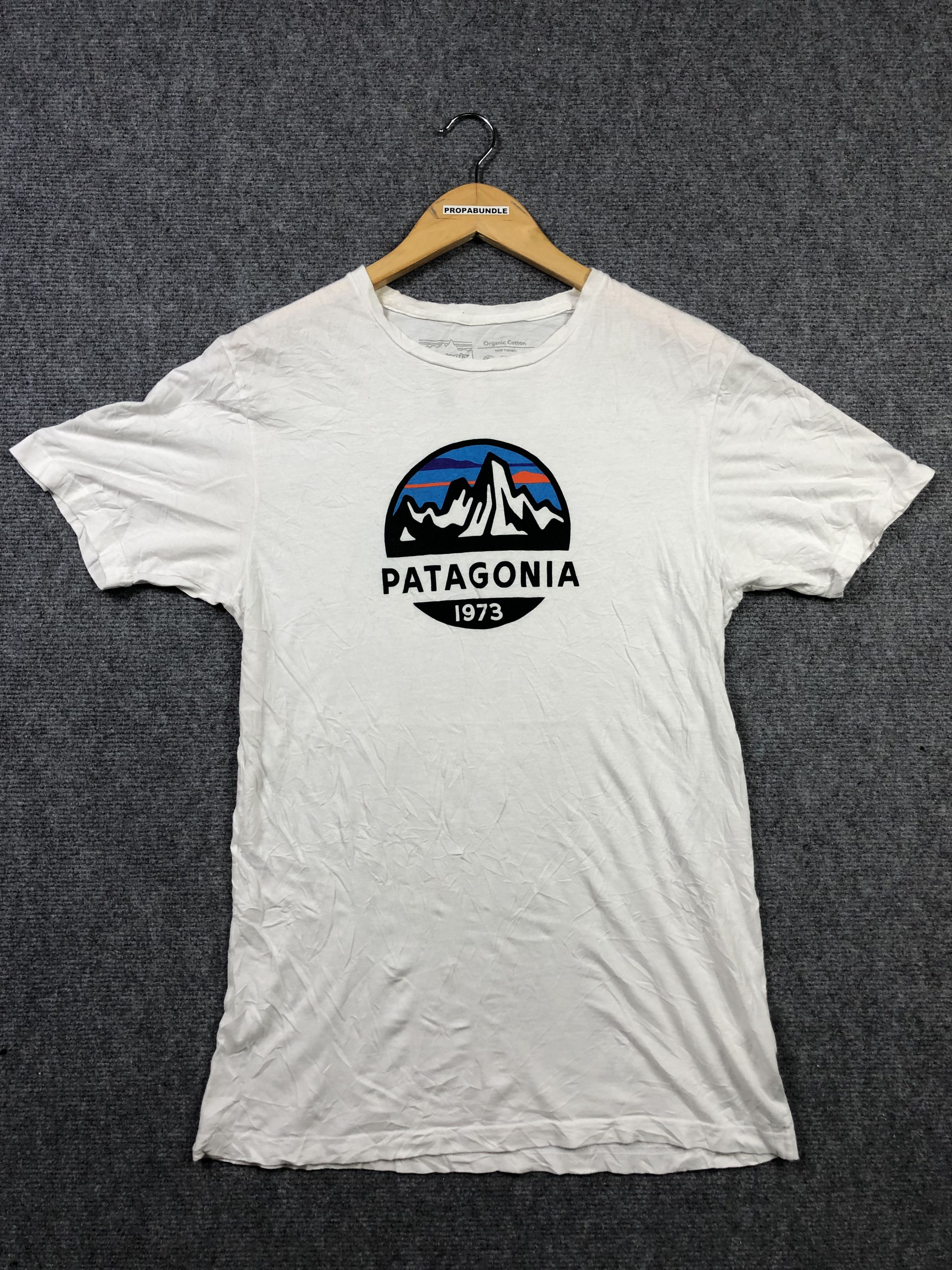 Patagonia Tshirt