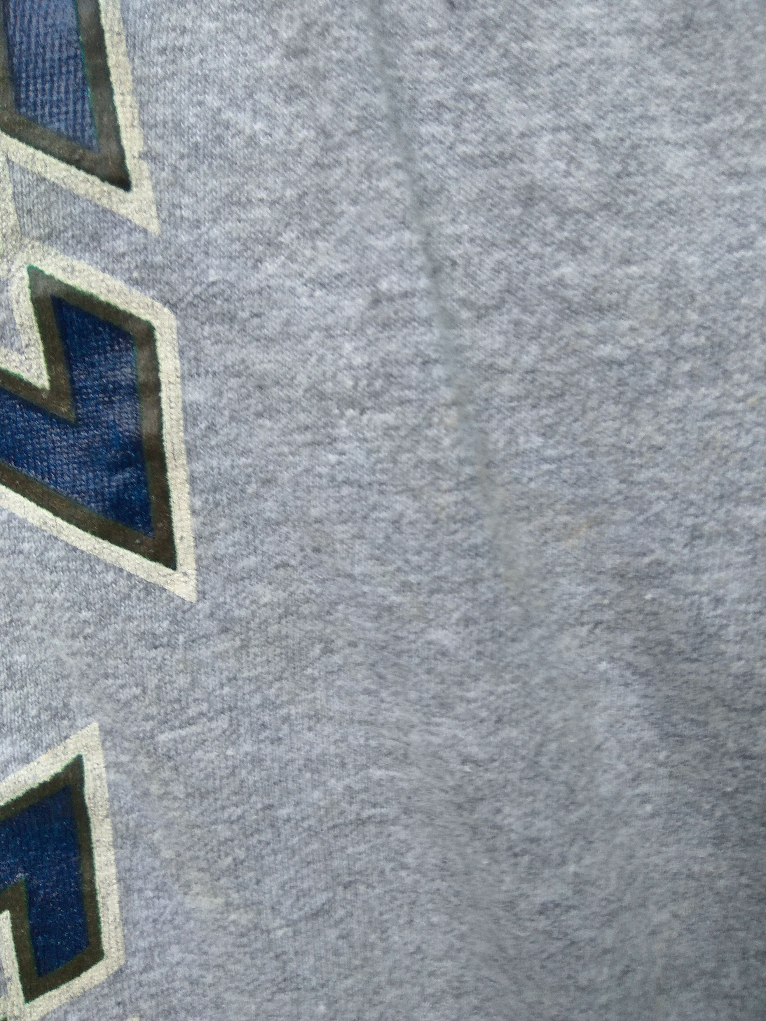 Champion × Vintage Vintage 90s Notre Dame t shirt rayon Champion reverse weave Size US L / EU 52-54 / 3 - 6 Thumbnail