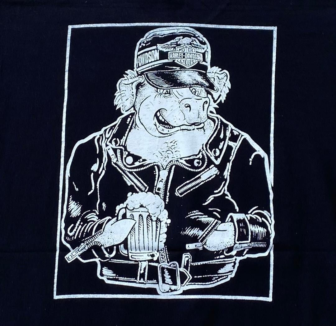 Band Tees × Fruit Of The Loom × Vintage vintage tee chris B15 Size US M / EU 48-50 / 2 - 2 Thumbnail