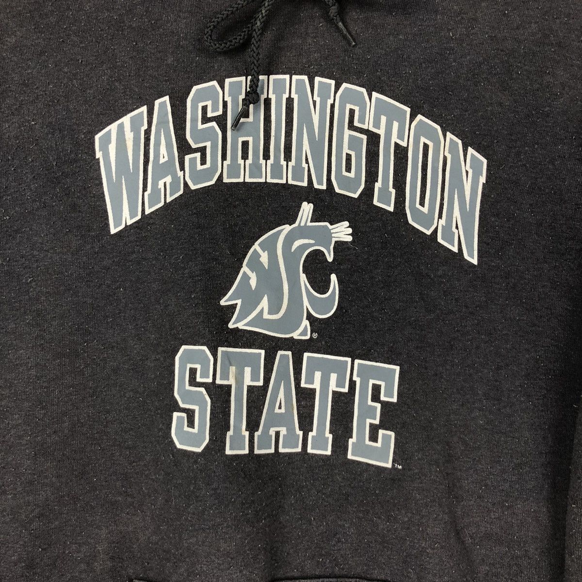 Champion × Vintage Vintage Champion Washington Reverse Weave faded Hoodie Size US M / EU 48-50 / 2 - 3 Thumbnail