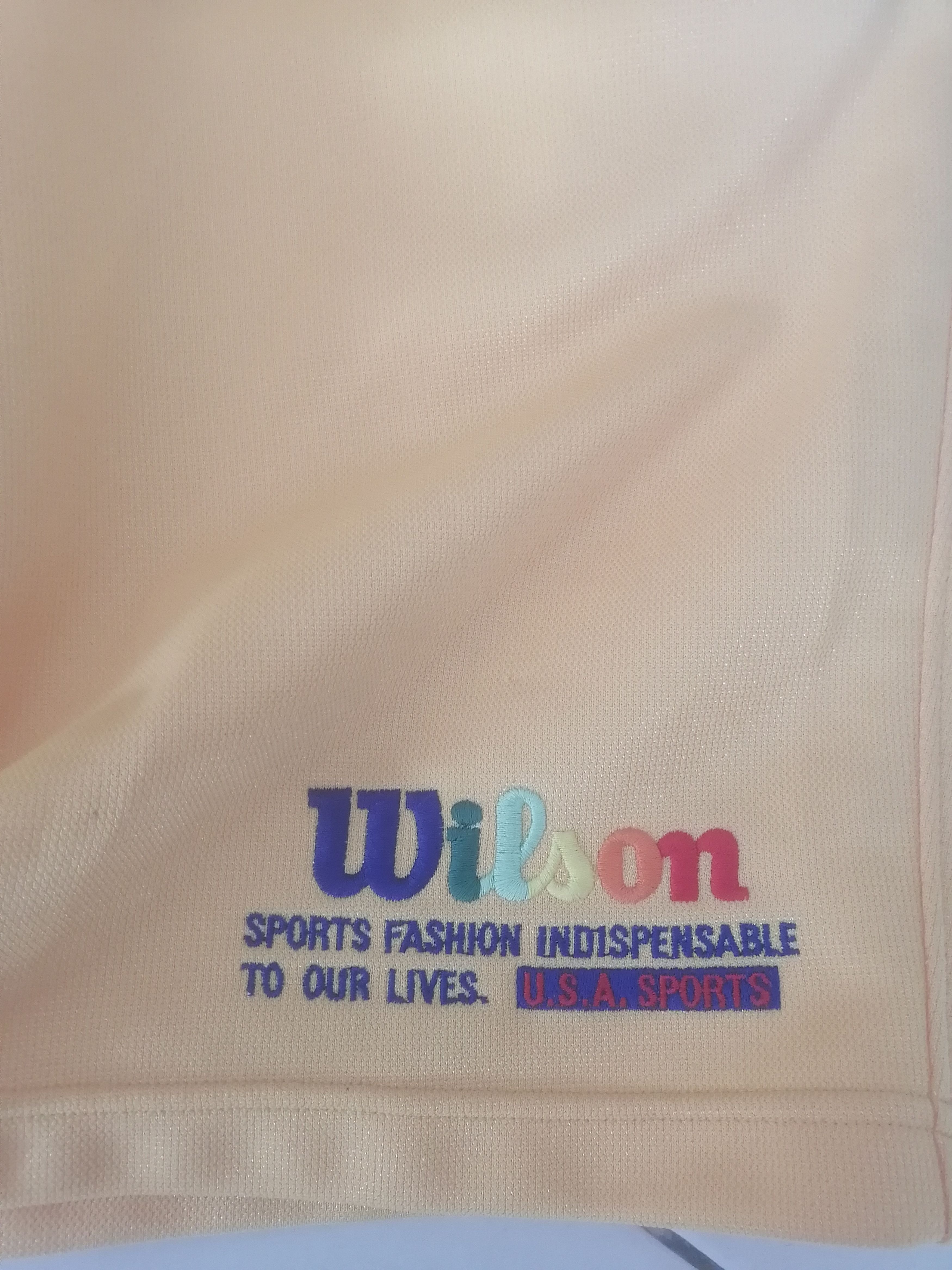 Vintage × Wilson Vintage Wilson Rainbow Logo Embroidery Shorts Size US 31 - 2 Thumbnail