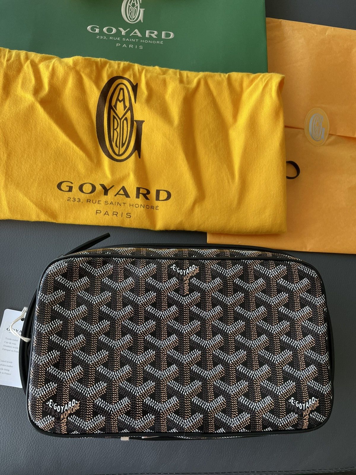 Goyard Rare Iconic Limited Brand New Cap Vert Crossbody Camera Bag Size ONE SIZE - 17 Thumbnail