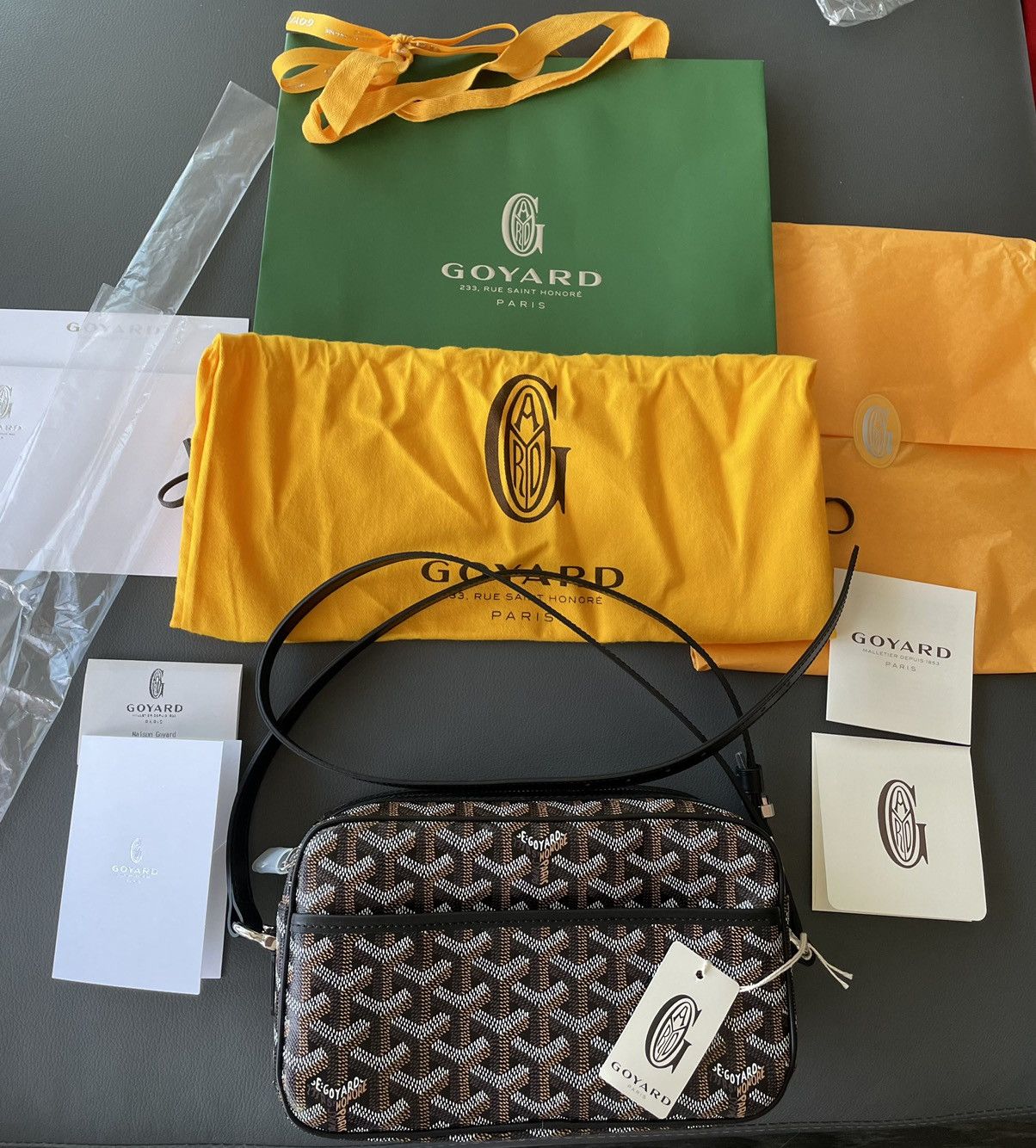 Goyard Rare Iconic Limited Brand New Cap Vert Crossbody Camera Bag Size ONE SIZE - 24 Thumbnail