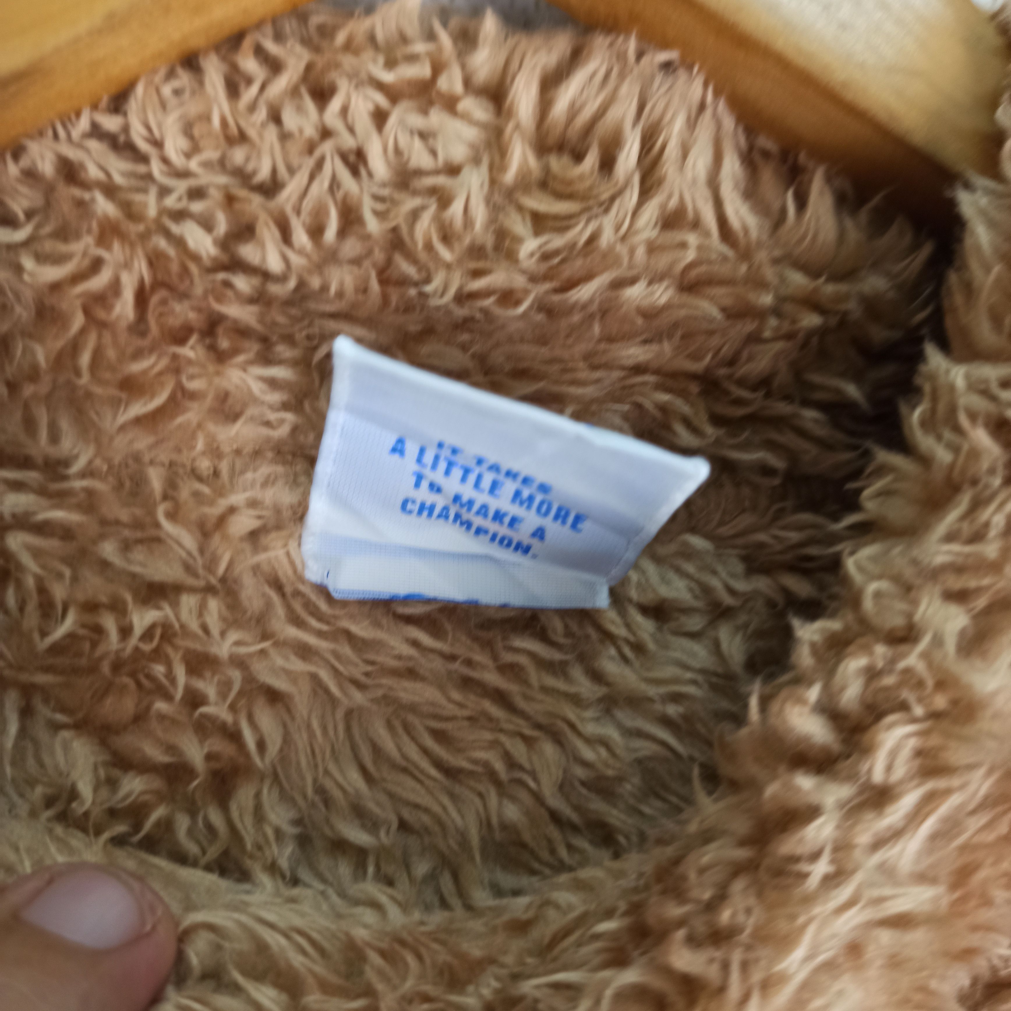 Champion Champion Fleece Sherpa Small Logo Size US M / EU 48-50 / 2 - 7 Thumbnail
