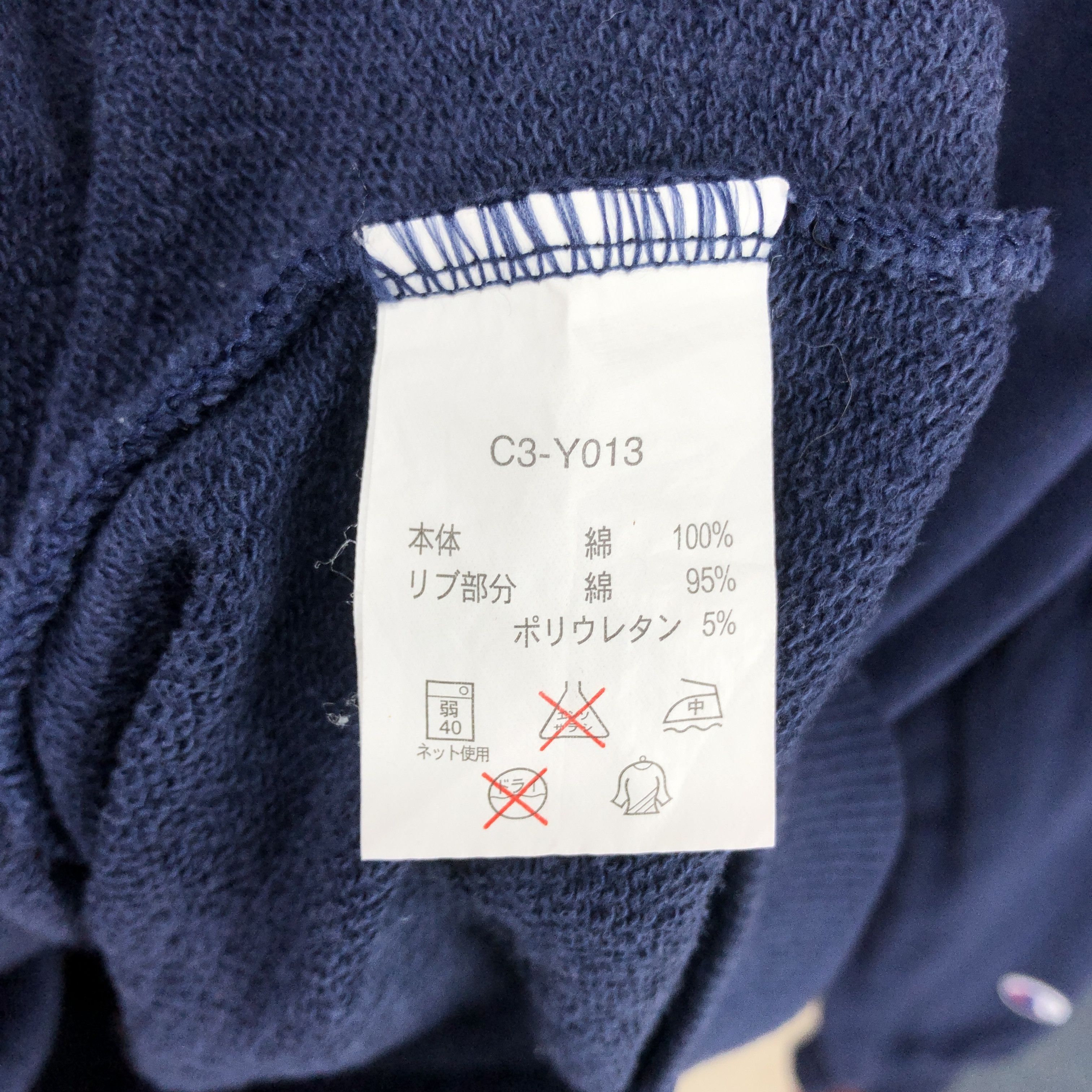 Champion CHAMPION Redmond Physical Ed. Washington Sweatshirt #0666/AC Size US L / EU 52-54 / 3 - 6 Thumbnail