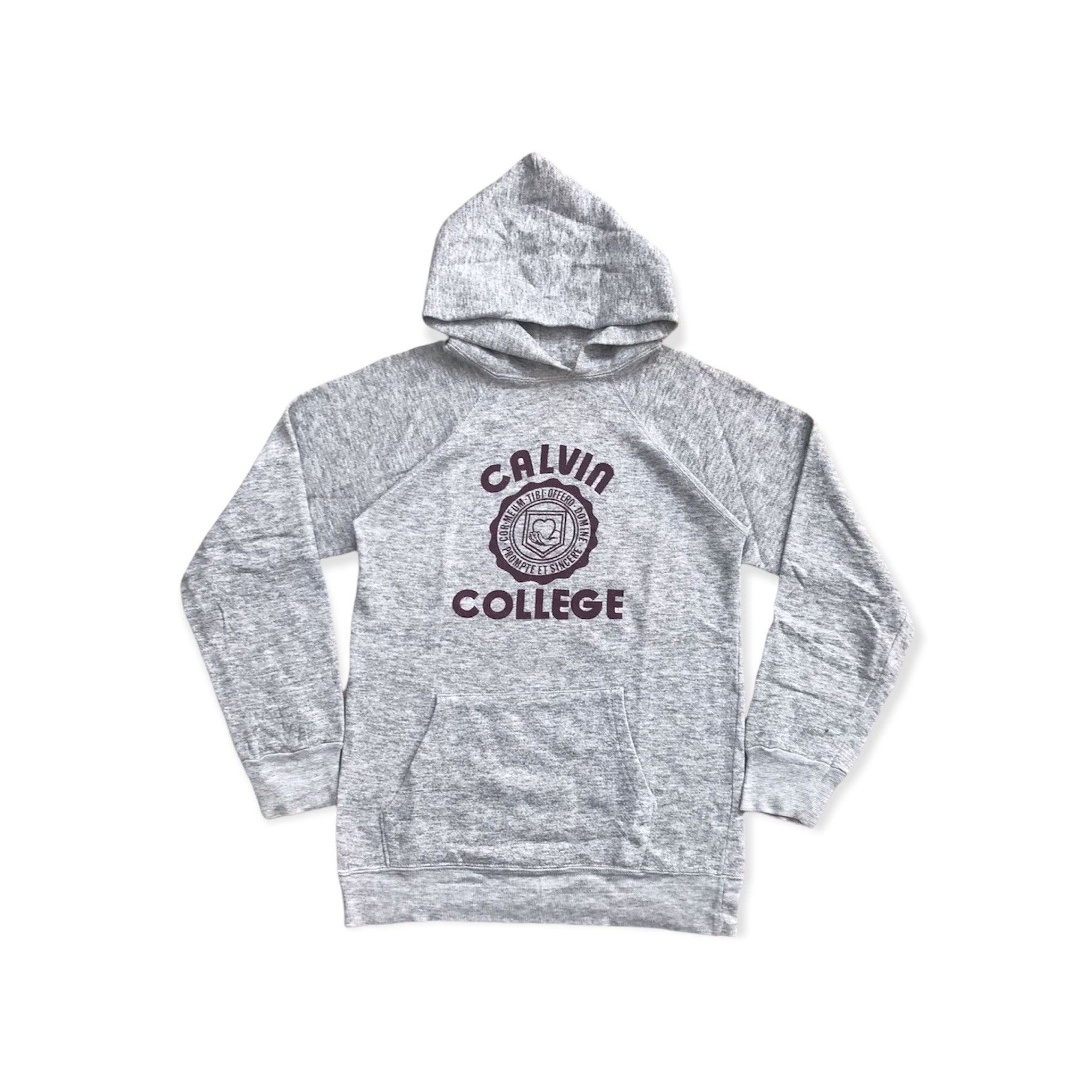 image of American College x Champion Vintage Champion Calvin College Hoodie in Grey, Men's (Size Small)