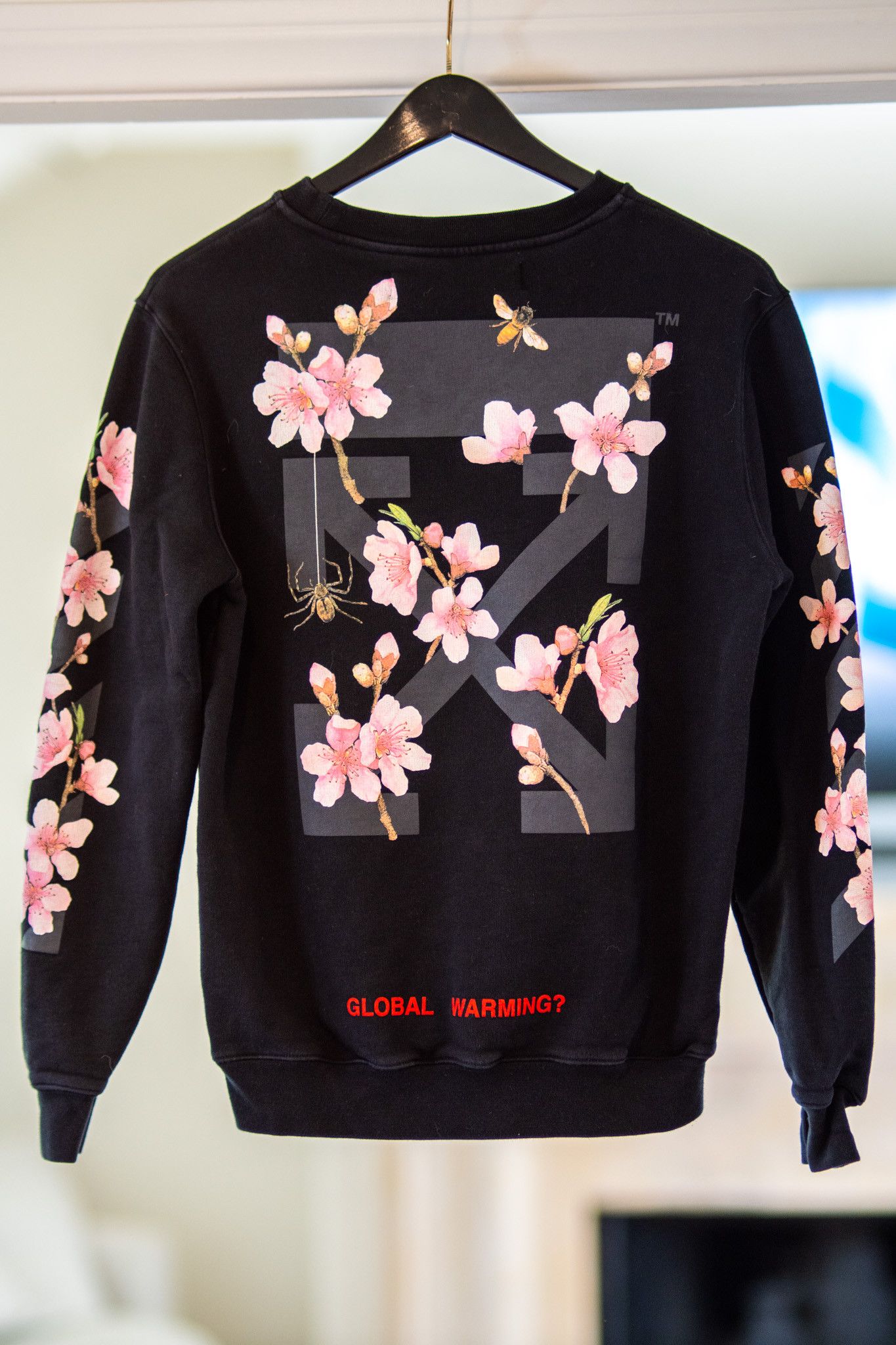 Global warming hoodie off white best sale