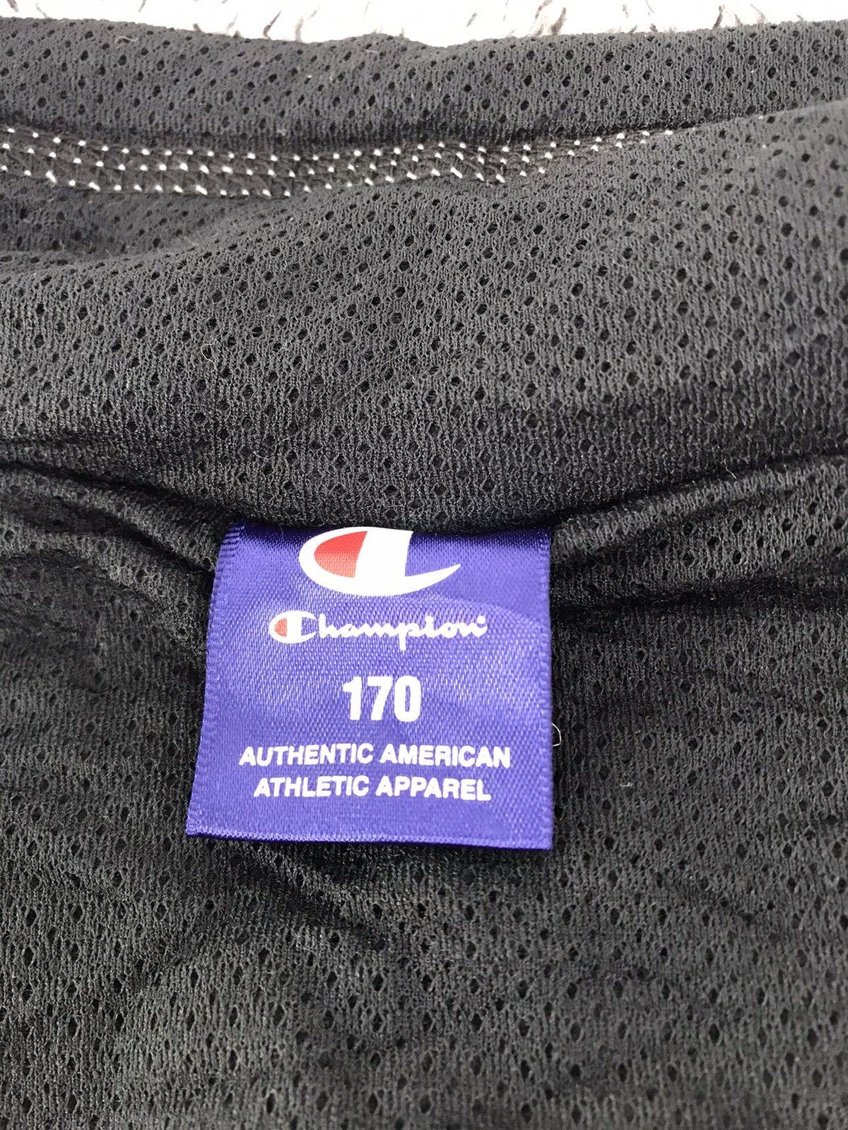 Champion Champion Athletic Apparel Wool Fluffy Soft Hoodies Size US M / EU 48-50 / 2 - 6 Thumbnail