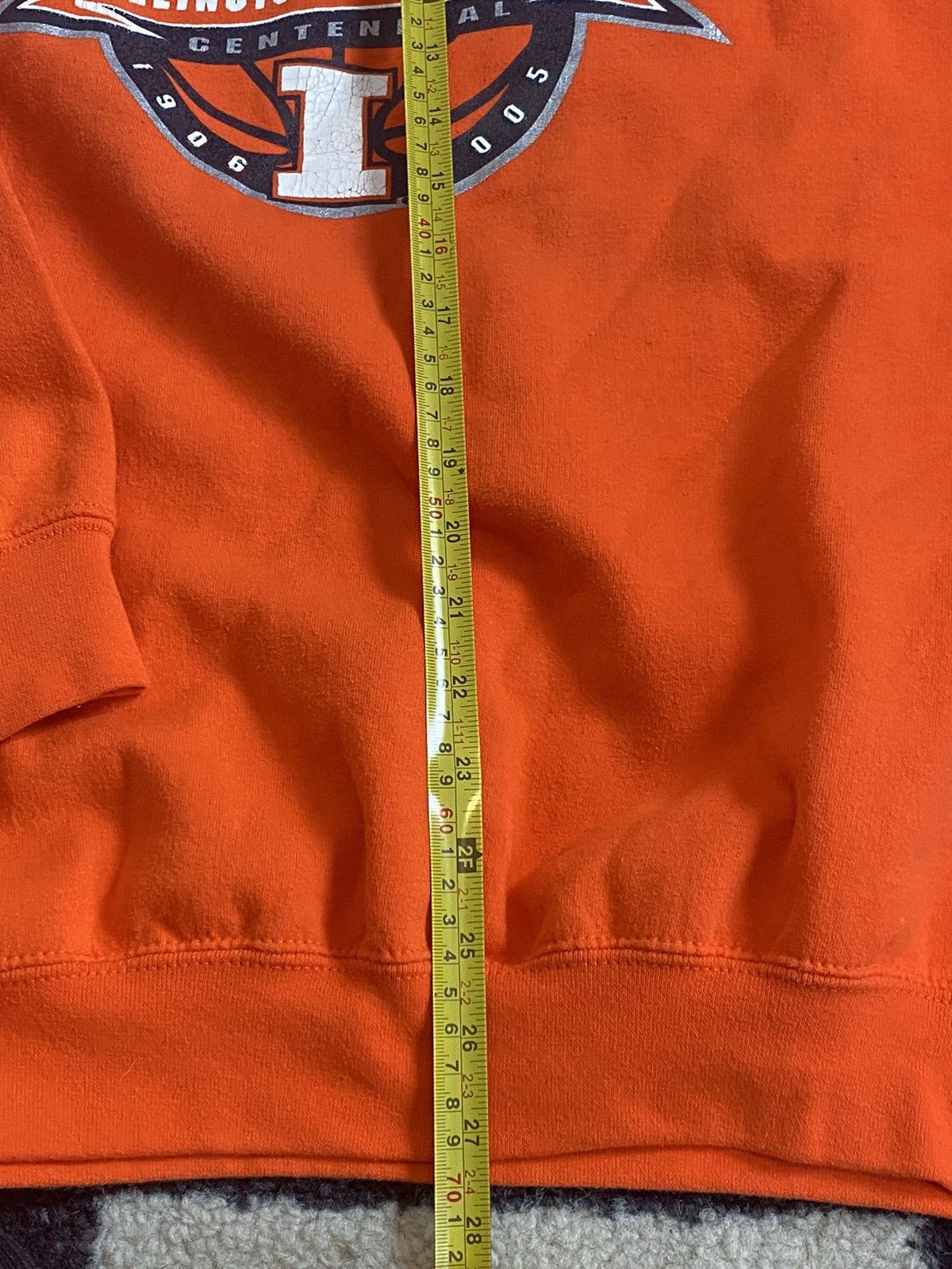 Gildan × Vintage Illini Basketball Centennial 100 Yr Crewneck (2005) Size US L / EU 52-54 / 3 - 4 Thumbnail