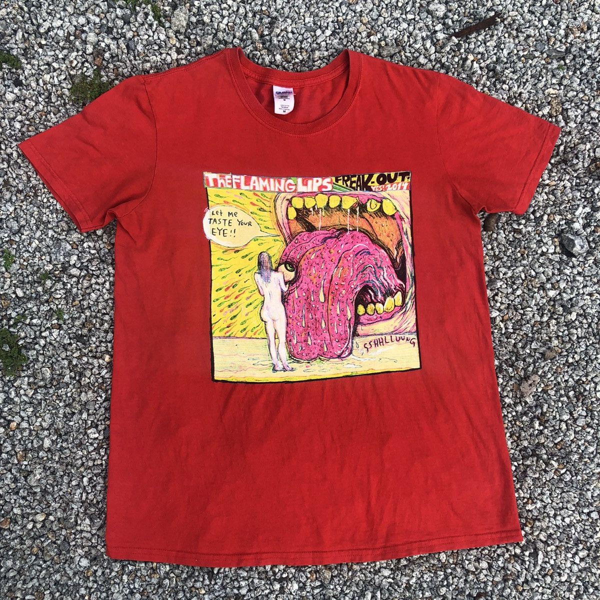 Band Tees The Flaming Lips 2014 Tour T shirt Size US M / EU 48-50 / 2 - 2 Thumbnail