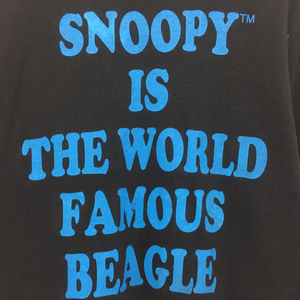 Cartoon Network × Peanuts × Vintage Peanuts Snoopy Sweatshirt Crewneck BigLogo Music Peanuts Size US M / EU 48-50 / 2 - 4 Thumbnail