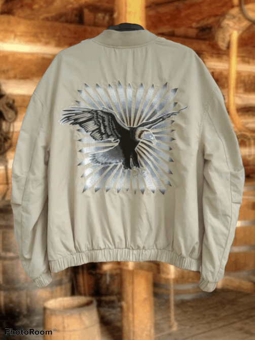 image of Light Bomber Jacket Back Hit, Men's (Size Large)