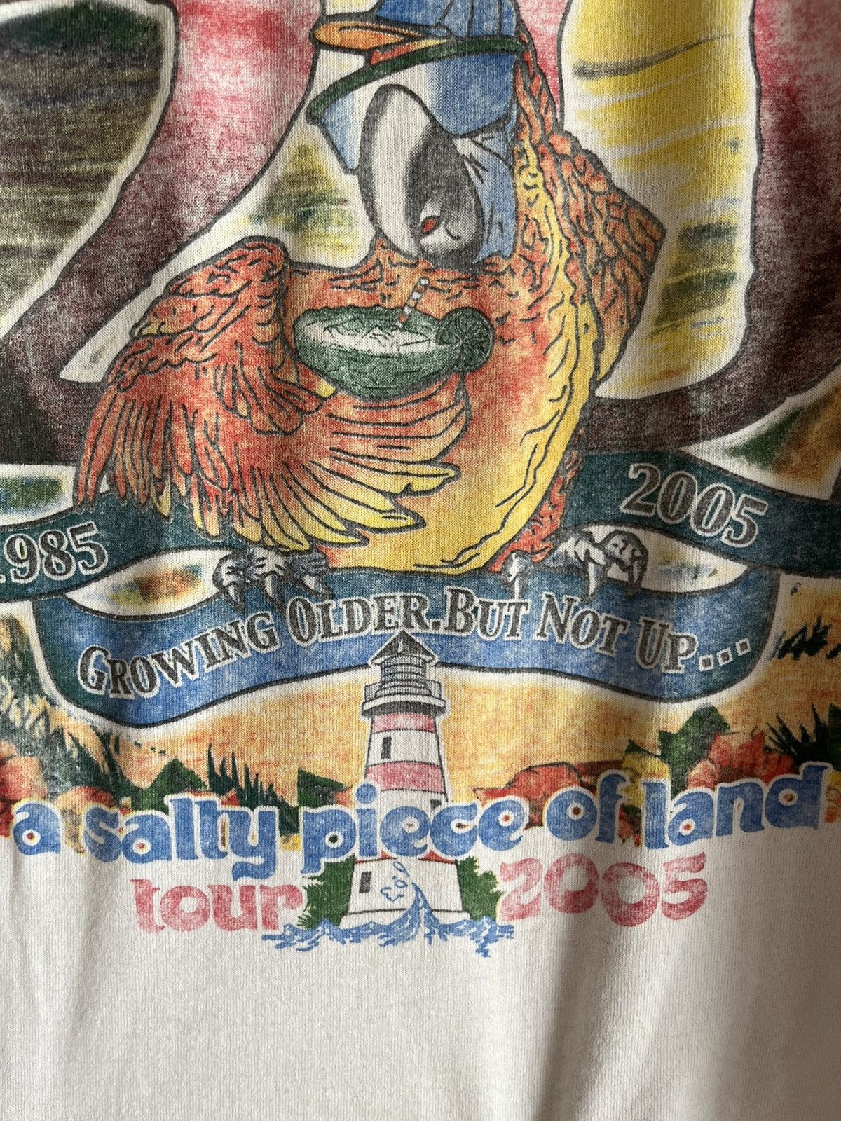Vintage Jimmy buffett ft77 Size US M / EU 48-50 / 2 - 3 Thumbnail