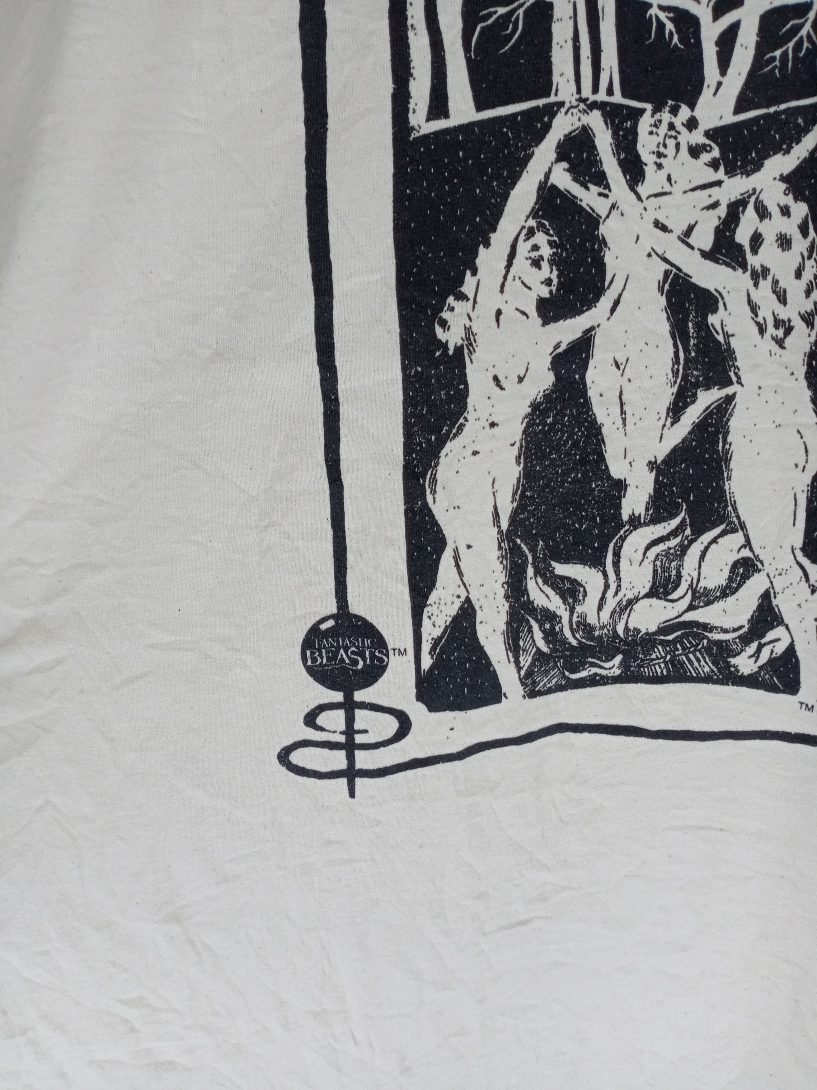 Warner Bros Vintage Fantastic Beasts 'Witches Live Among Us!' Size US XL / EU 56 / 4 - 4 Thumbnail