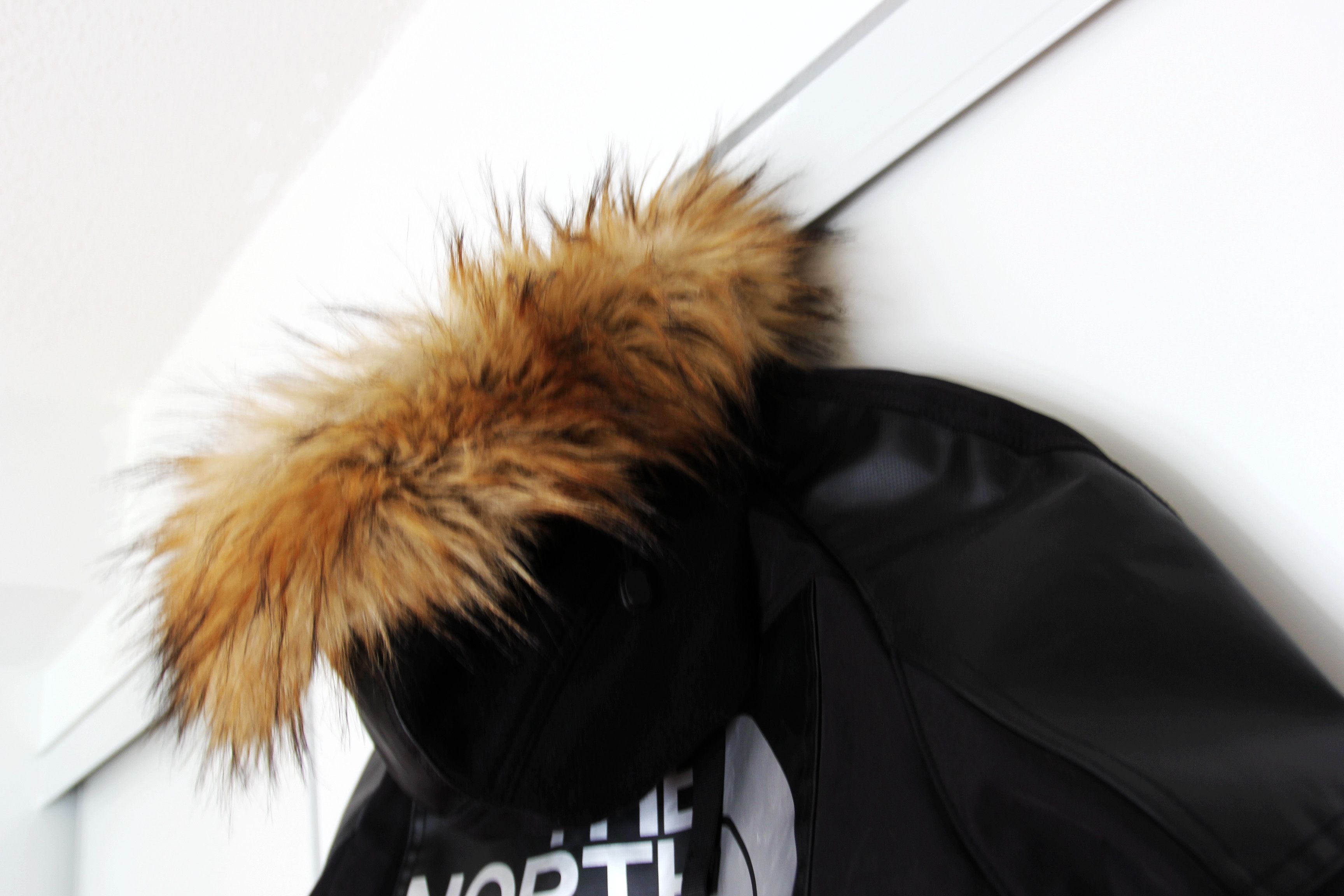 Junya Watanabe AW17 JUNYA WATANABE x THE NORTH FACE BACKPACK COAT M Size US M / EU 48-50 / 2 - 6 Thumbnail
