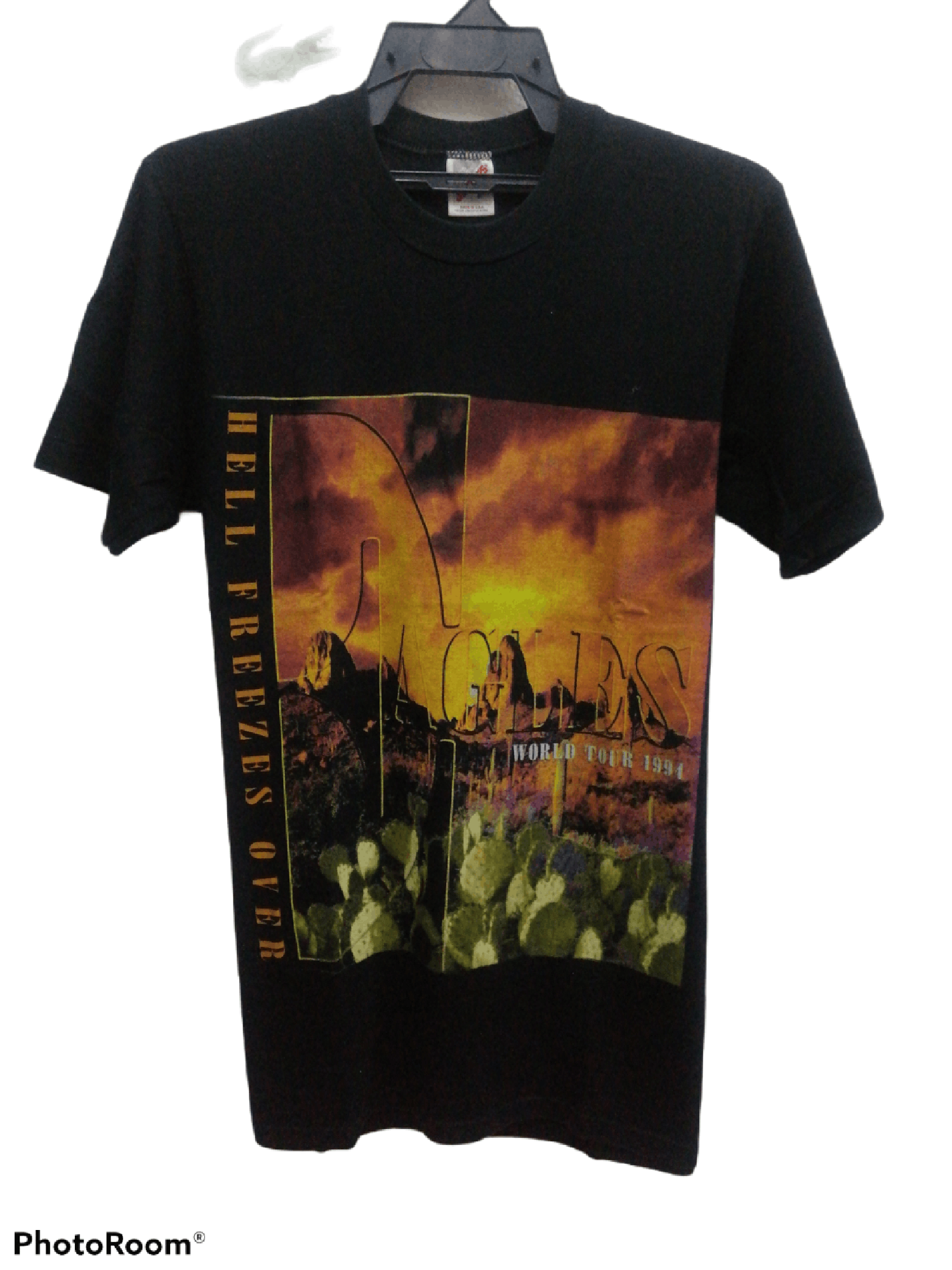 Band Tees × Vintage VINTAGE EAGLES HELL FREEZES OVER WORLD TOUR 1994 Size US M / EU 48-50 / 2 - 1 Thumbnail