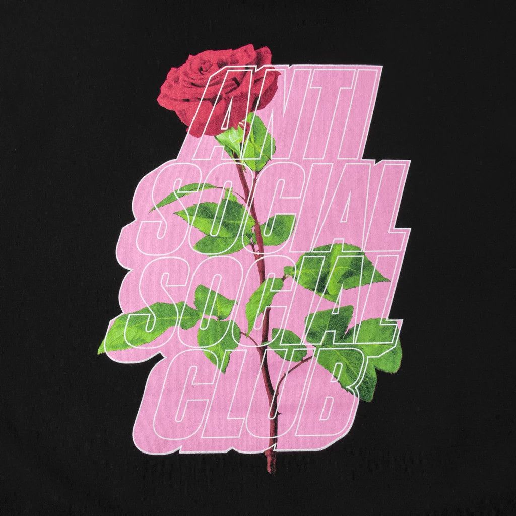 Anti Social Social Club DS FW19 ASSC Blocked Logo Plant Me Black Hoodie in hand Size US XXL / EU 58 / 5 - 3 Thumbnail