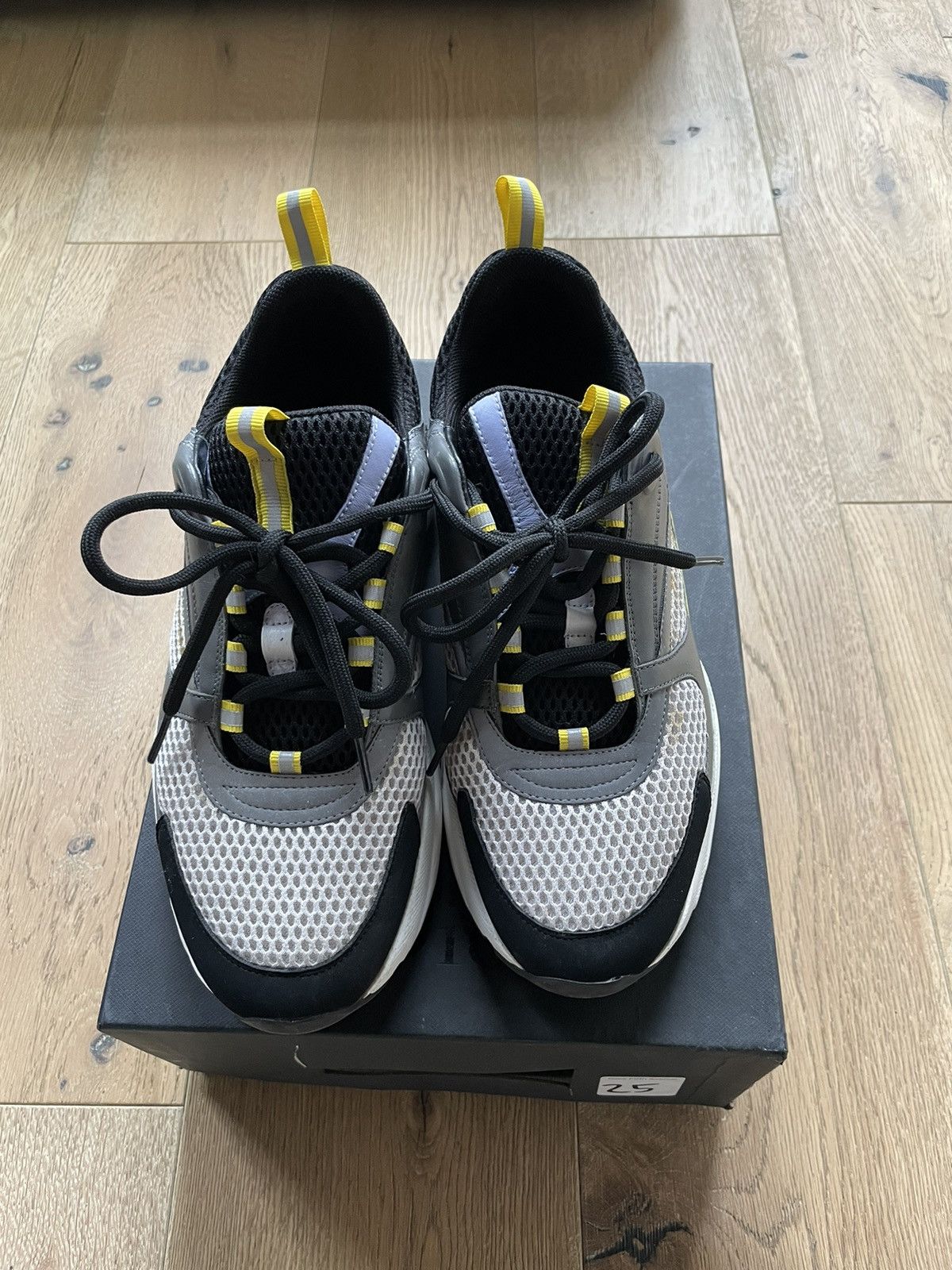 DIOR B22 sneaker