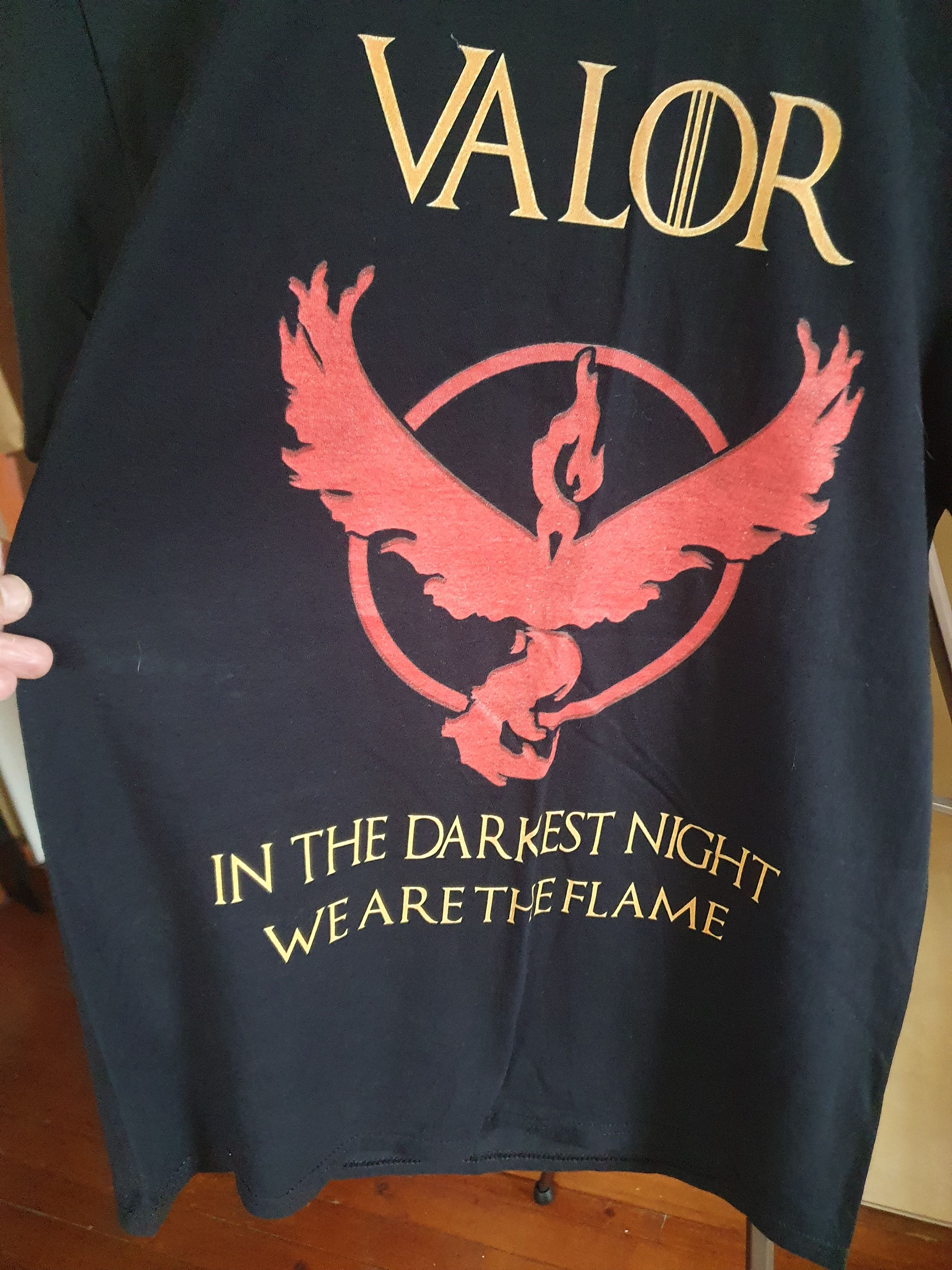 Pokemon House Valor In The Darkest Night We Are The Flame sz M Size US M / EU 48-50 / 2 - 3 Thumbnail