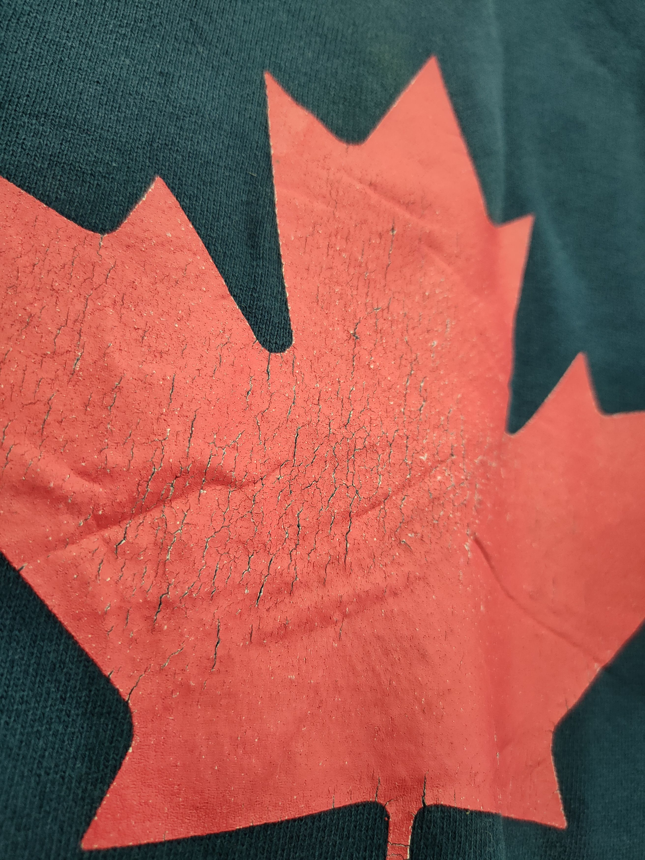 Vintage DL C.G.W 1993 Canada sweatshirt spell thrashed vtg #46-033 Size US M / EU 48-50 / 2 - 5 Thumbnail