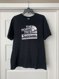Supreme The North Face Metallic Logo Hooded Sweatshirt SS18 BlackM Winter 12