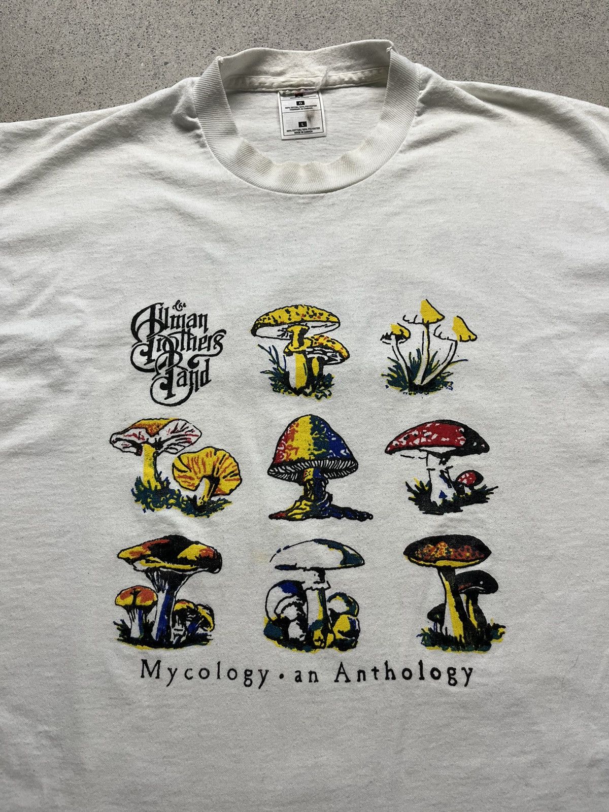 Band Tees × Vintage Vintage 90s Allman Brothers Band Mycology Tee Shirt Size US L / EU 52-54 / 3 - 3 Thumbnail