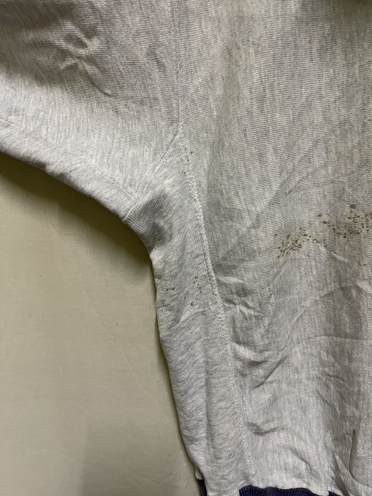 Champion × Vintage Vintage Thrashed 90s USA Champion Reverse Weave Hoodie Size US L / EU 52-54 / 3 - 18 Thumbnail