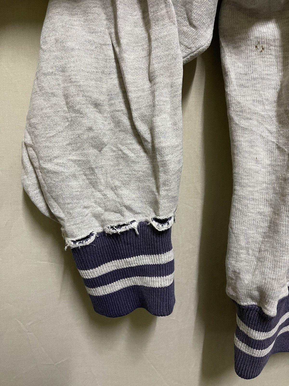Champion × Vintage Vintage Thrashed 90s USA Champion Reverse Weave Hoodie Size US L / EU 52-54 / 3 - 6 Thumbnail