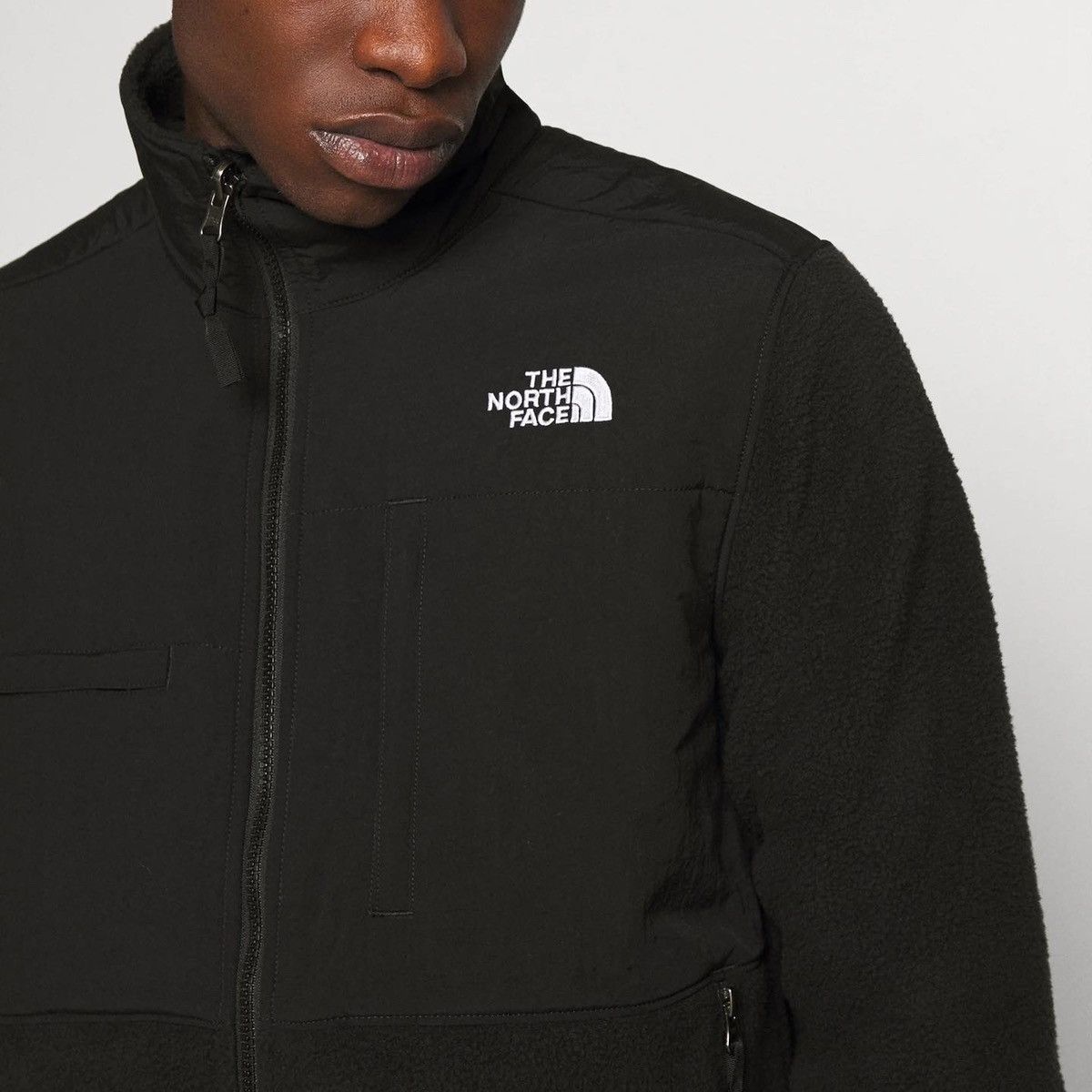 The North Face Denali 2 Fleece Jacket