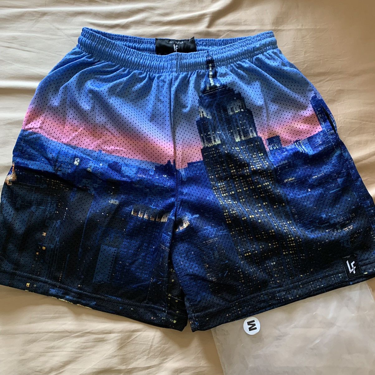 Lost Enterprises Lost Files Skyline Collection NYC Shorts size medium Size US 32 / EU 48 - 1 Preview