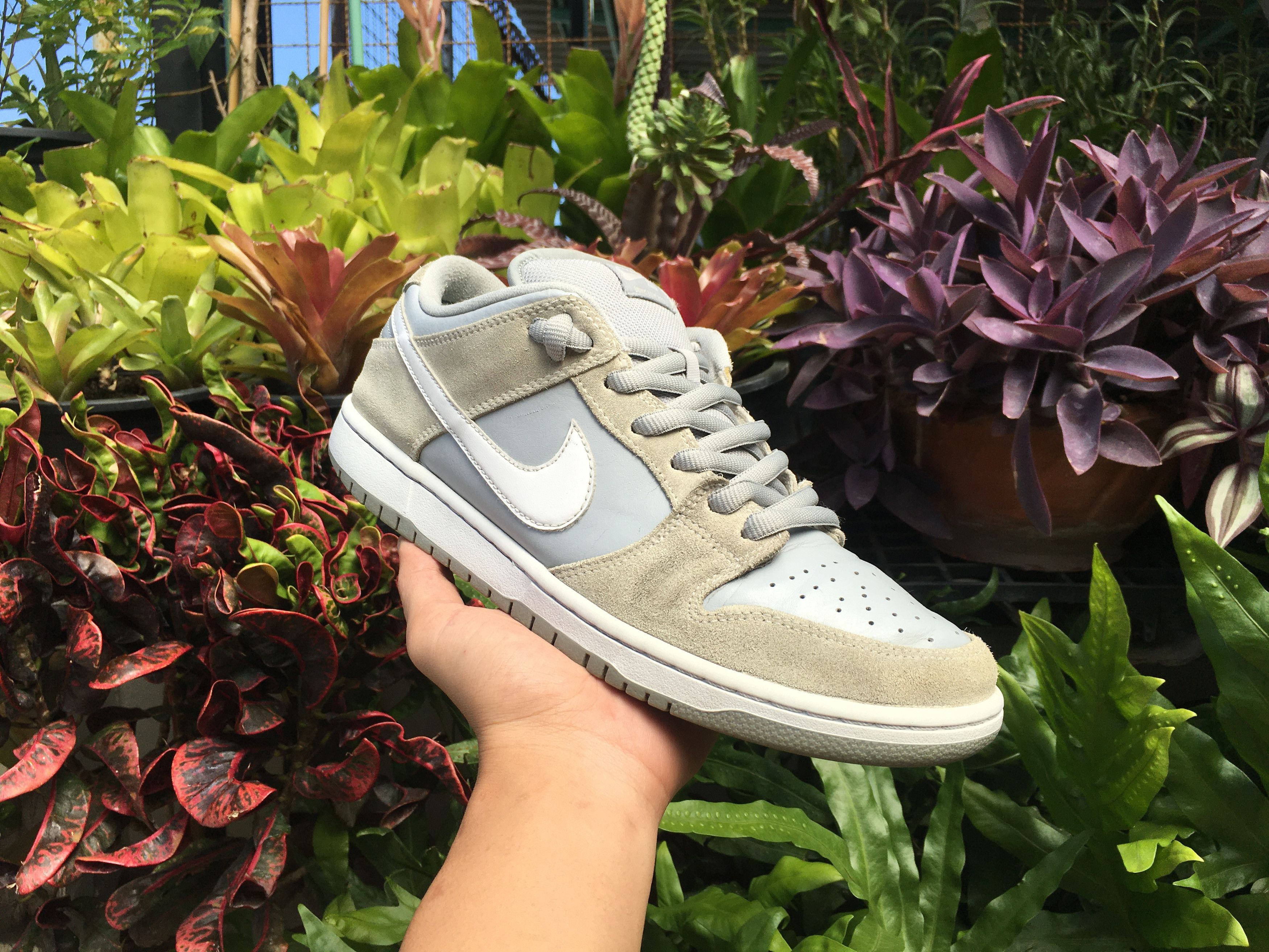🔥 Rare Nike Sb Dunk Low Pro Summit White Wolf Grey - Main Image